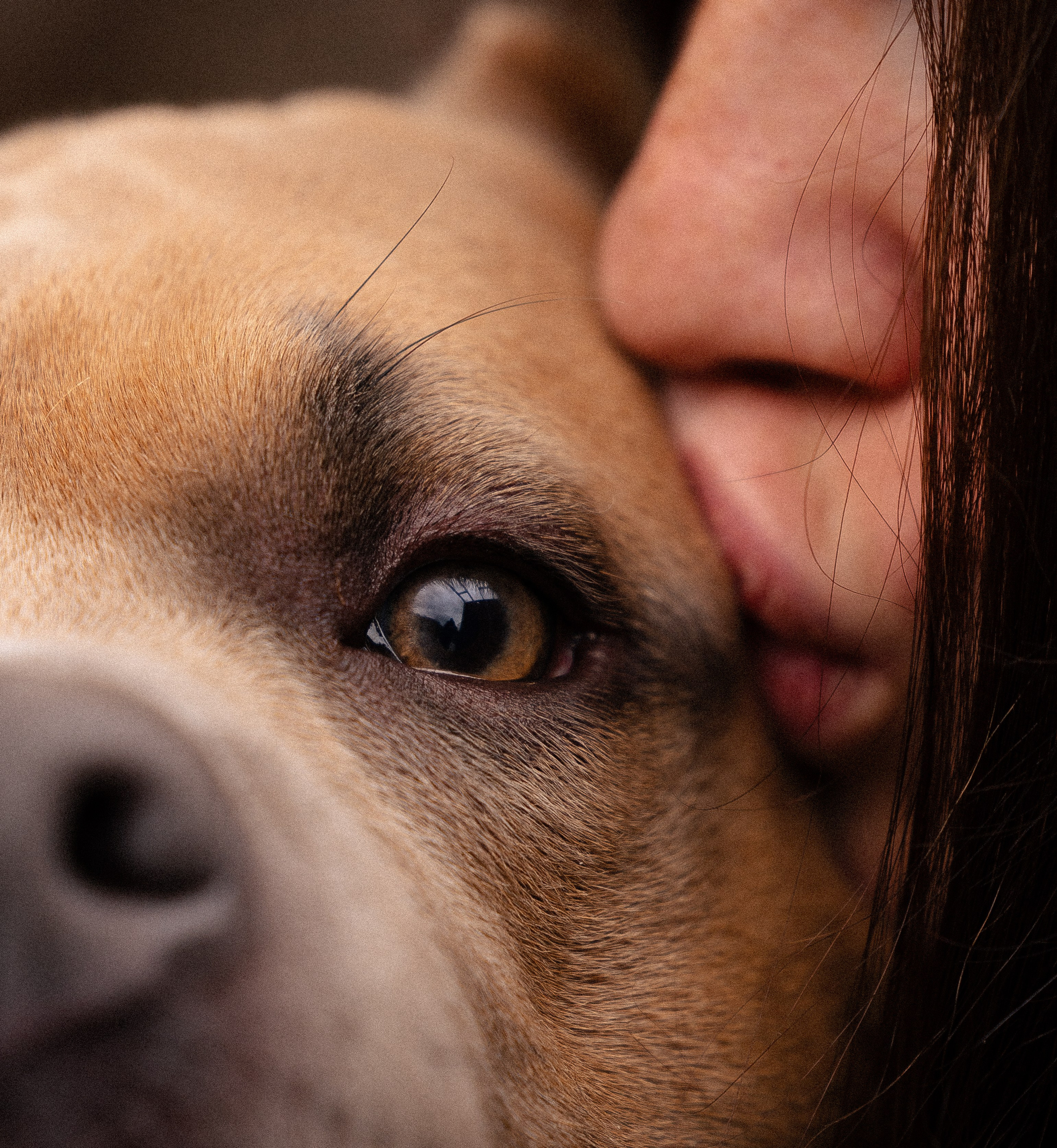Алена и Тор. Фотограф и видеограф анималист Аганина Дарья