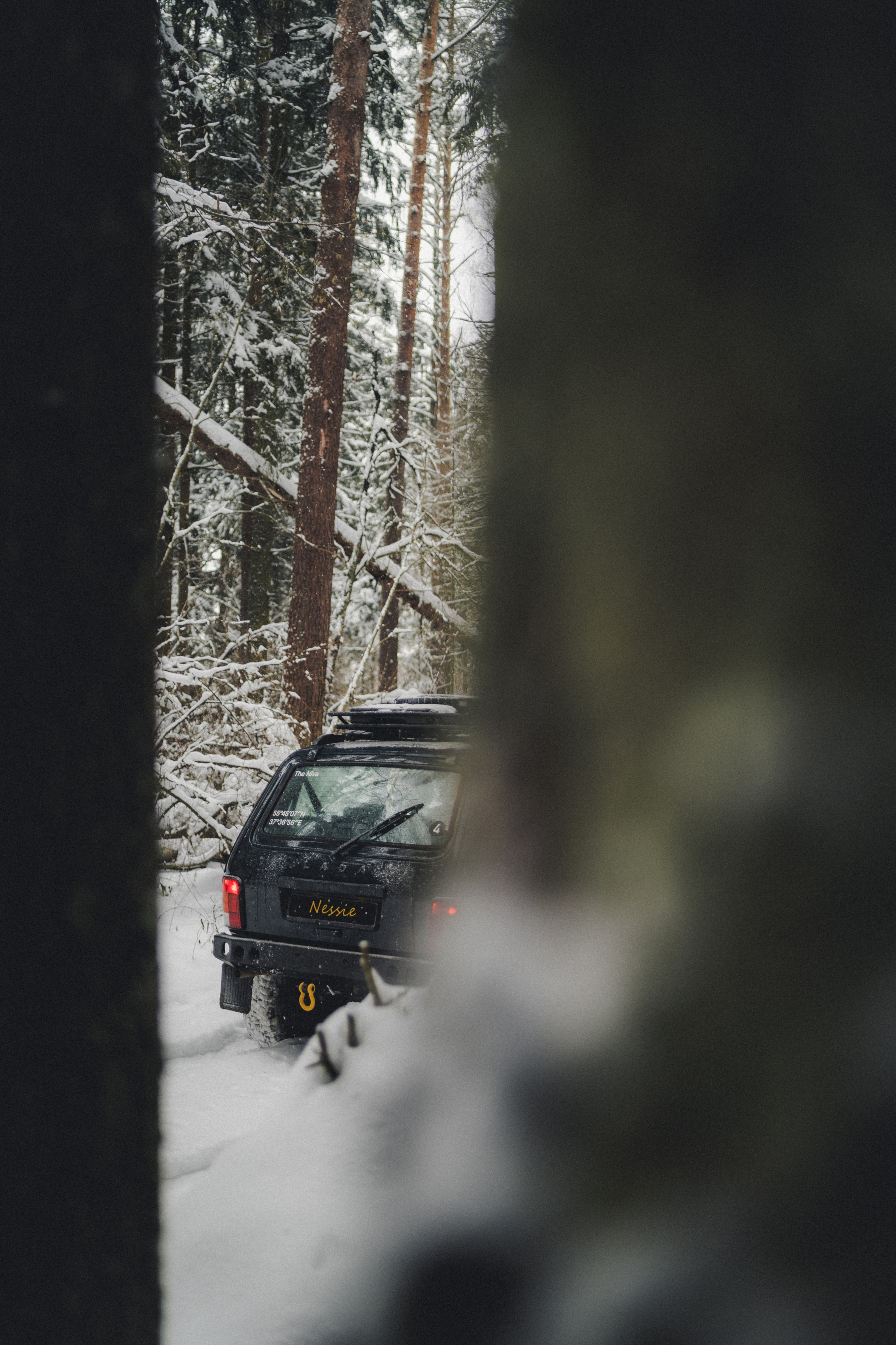 Niva Bronto (Nessie) x FAUNO. Фотограф Илья К. в Москве