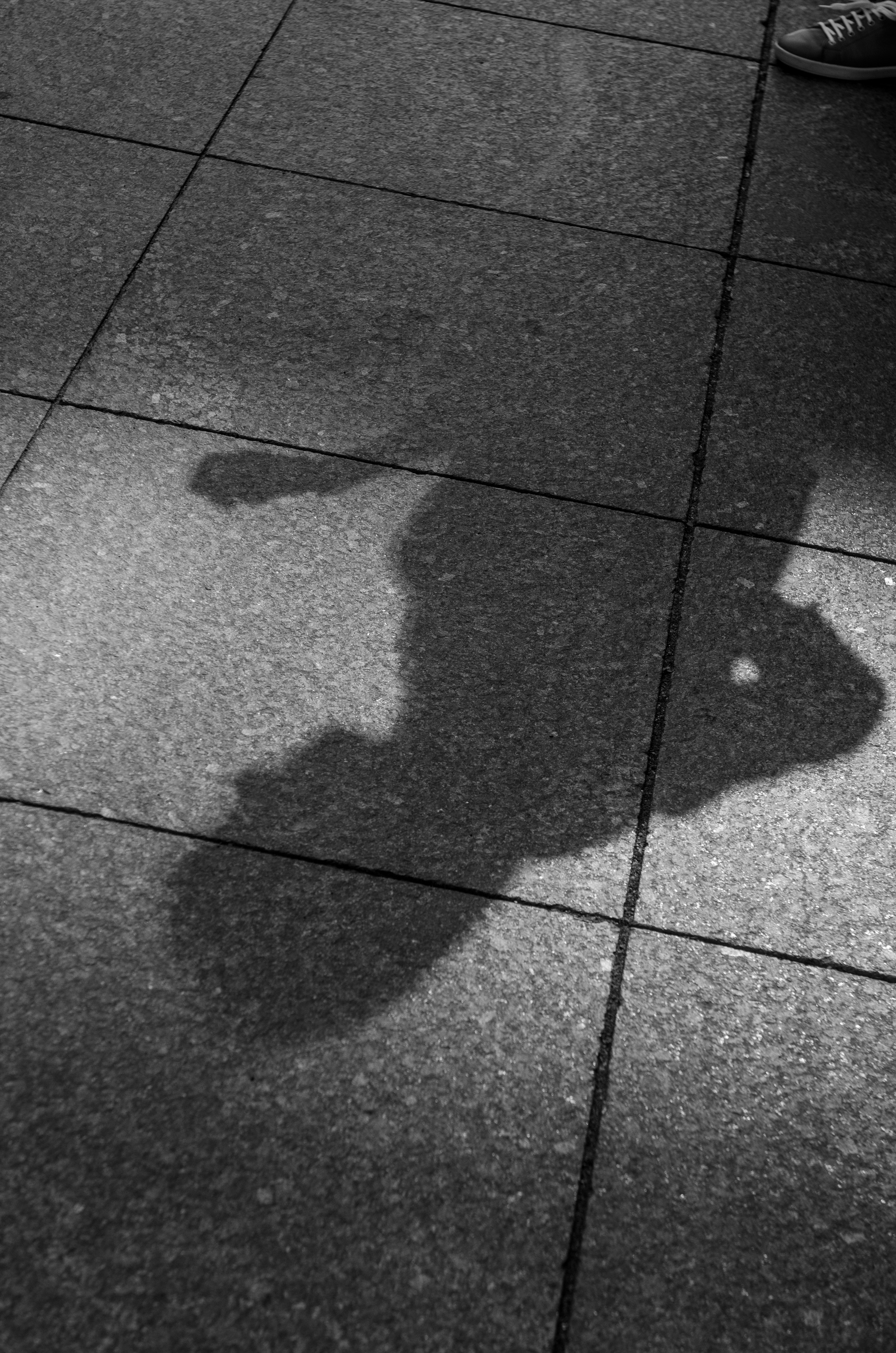 Город — как мое отражение. Портретный и лайфстайл фотограф в Санкт-Петербурге