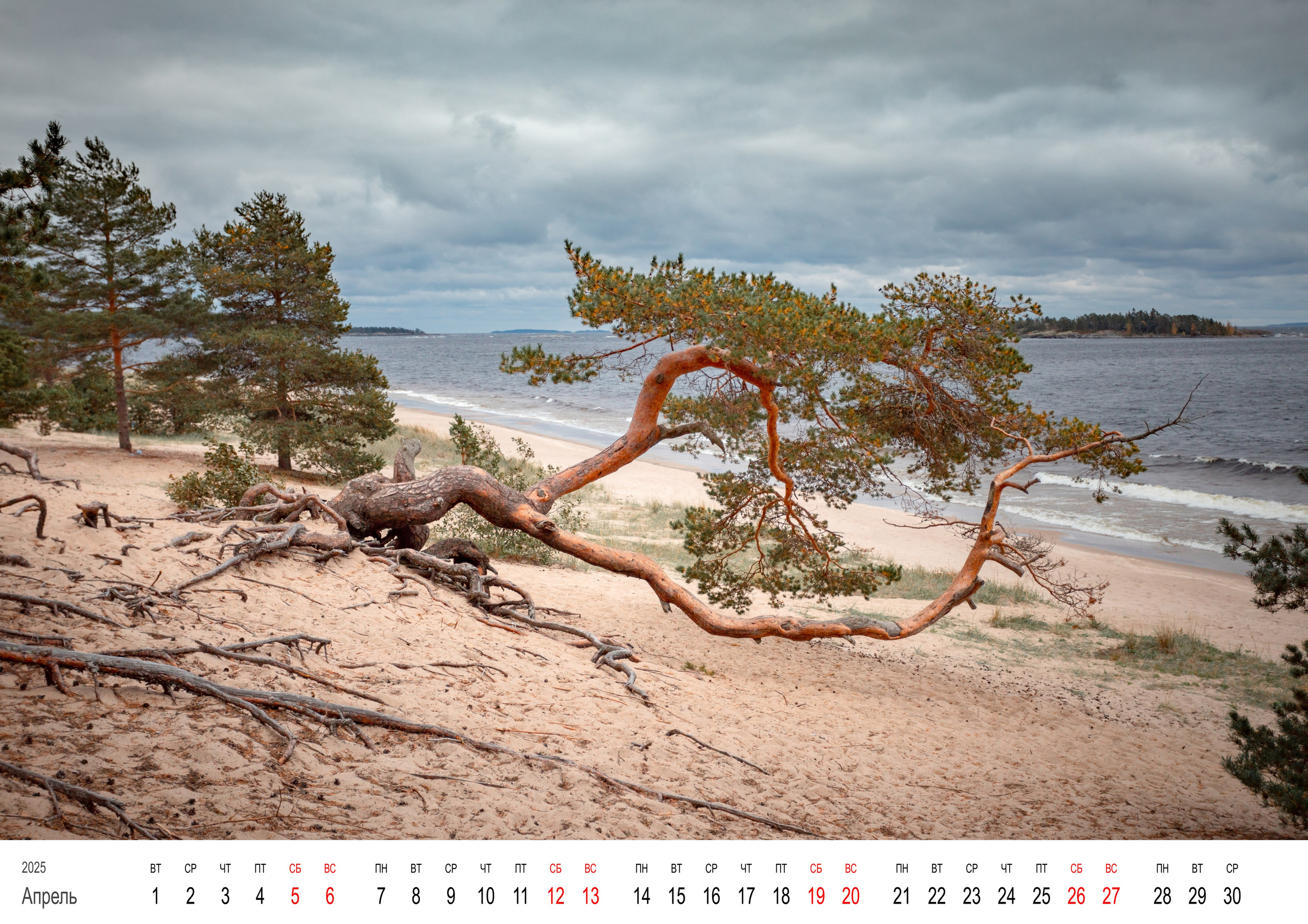 Карелия — 2025. Фотографии в Санкт-Петербурге и не только. Александр Колдин