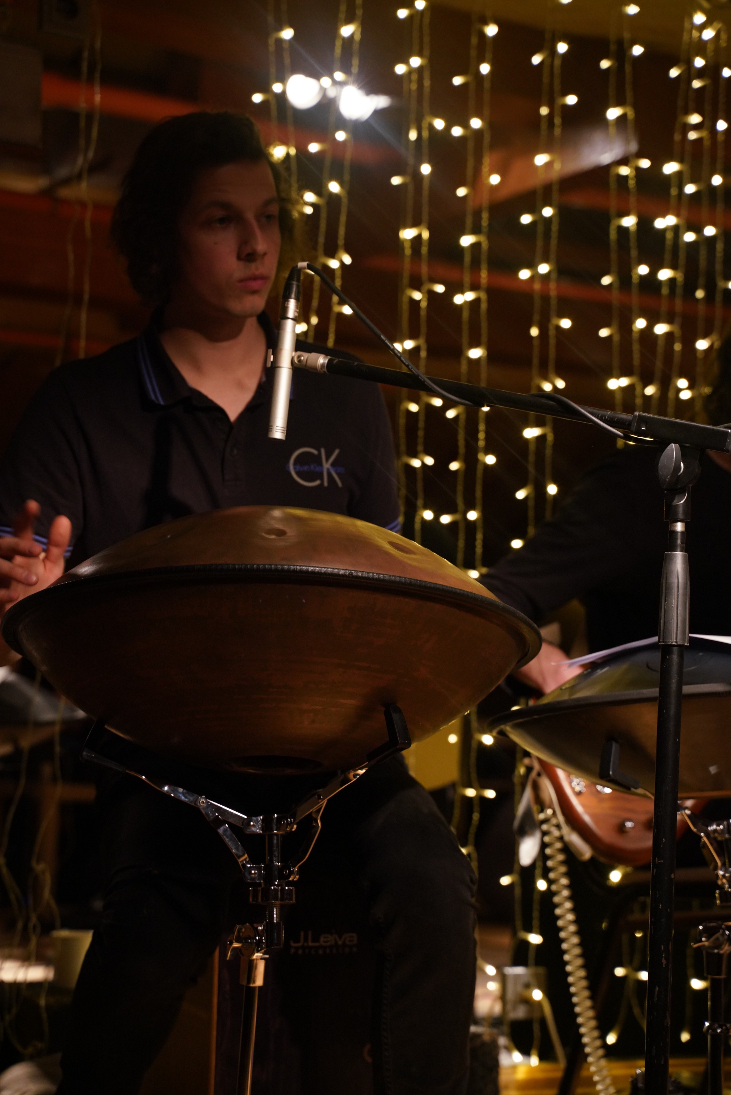 Концерт Forest jam project. Портретный и репортажный фотограф Наталья Горобец