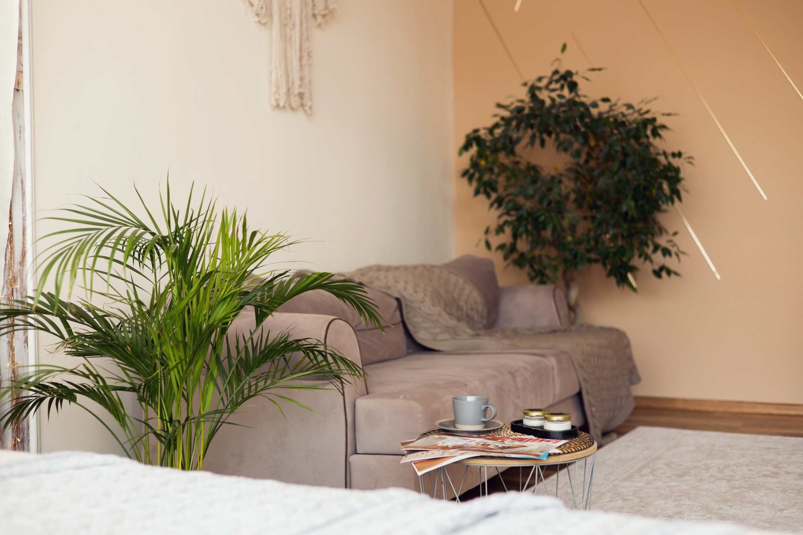 Стоимость. Фотограф Наталья Стаг в Омске. Фотографирую в разных стилях в разных студиях, а так же в школах и садах. Печатаю выпускные фотоальбомы