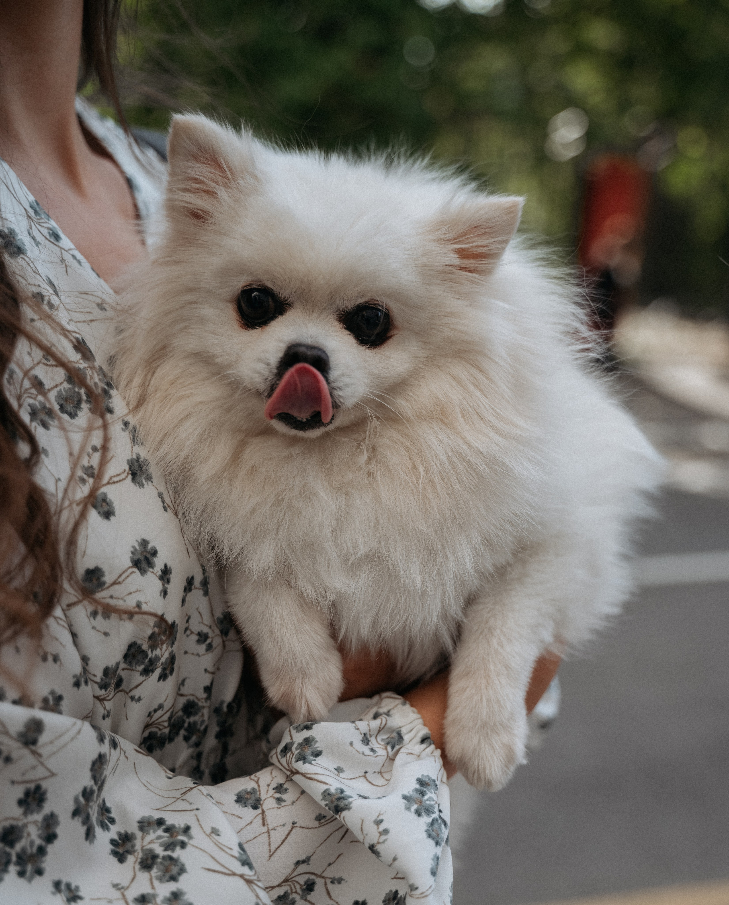 Прогулка к завтраку