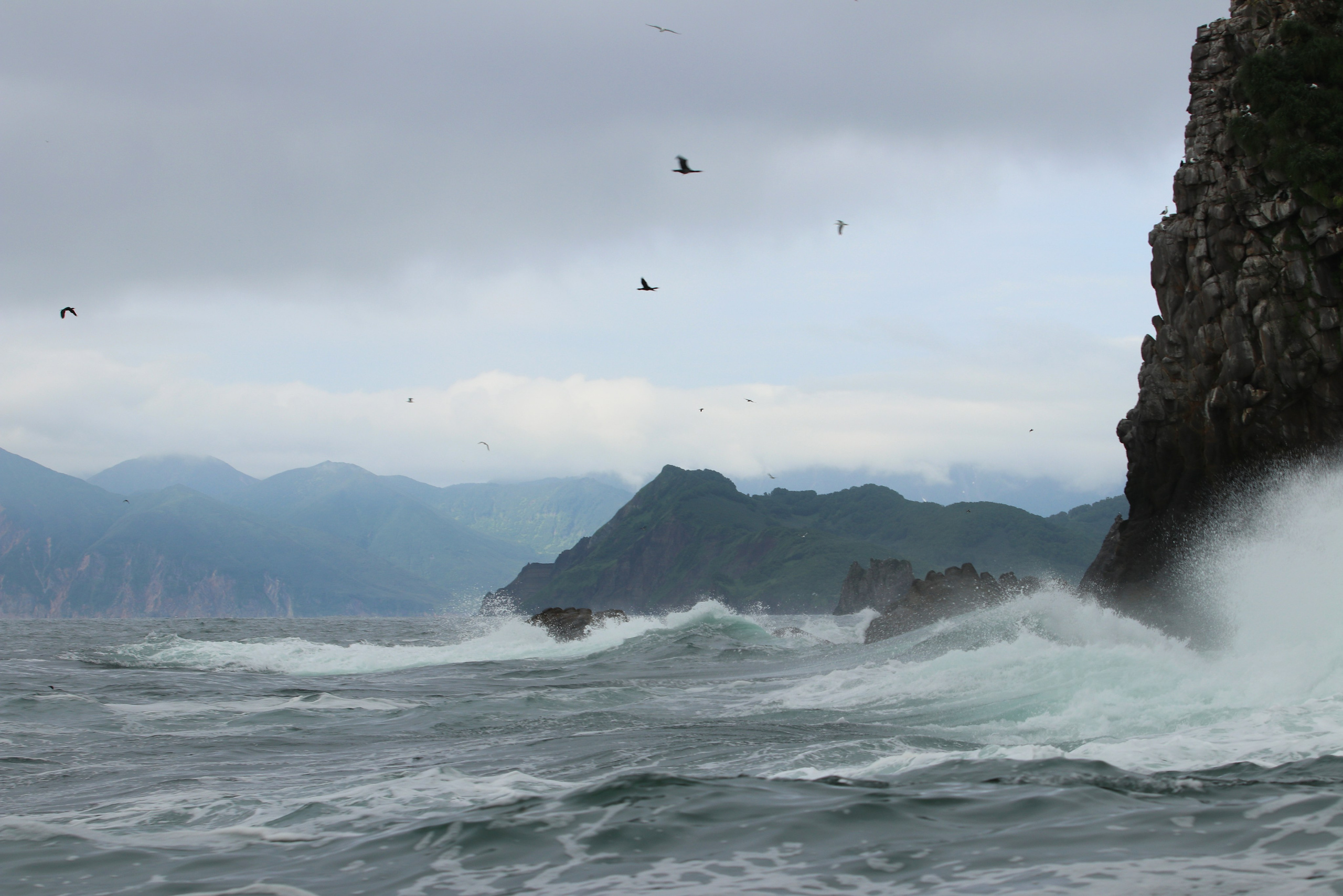 Камчатка и о. Парамушир. Июль 2024. Путешественник-фотограф из Санкт-Петербурга Татьяна Свистулина