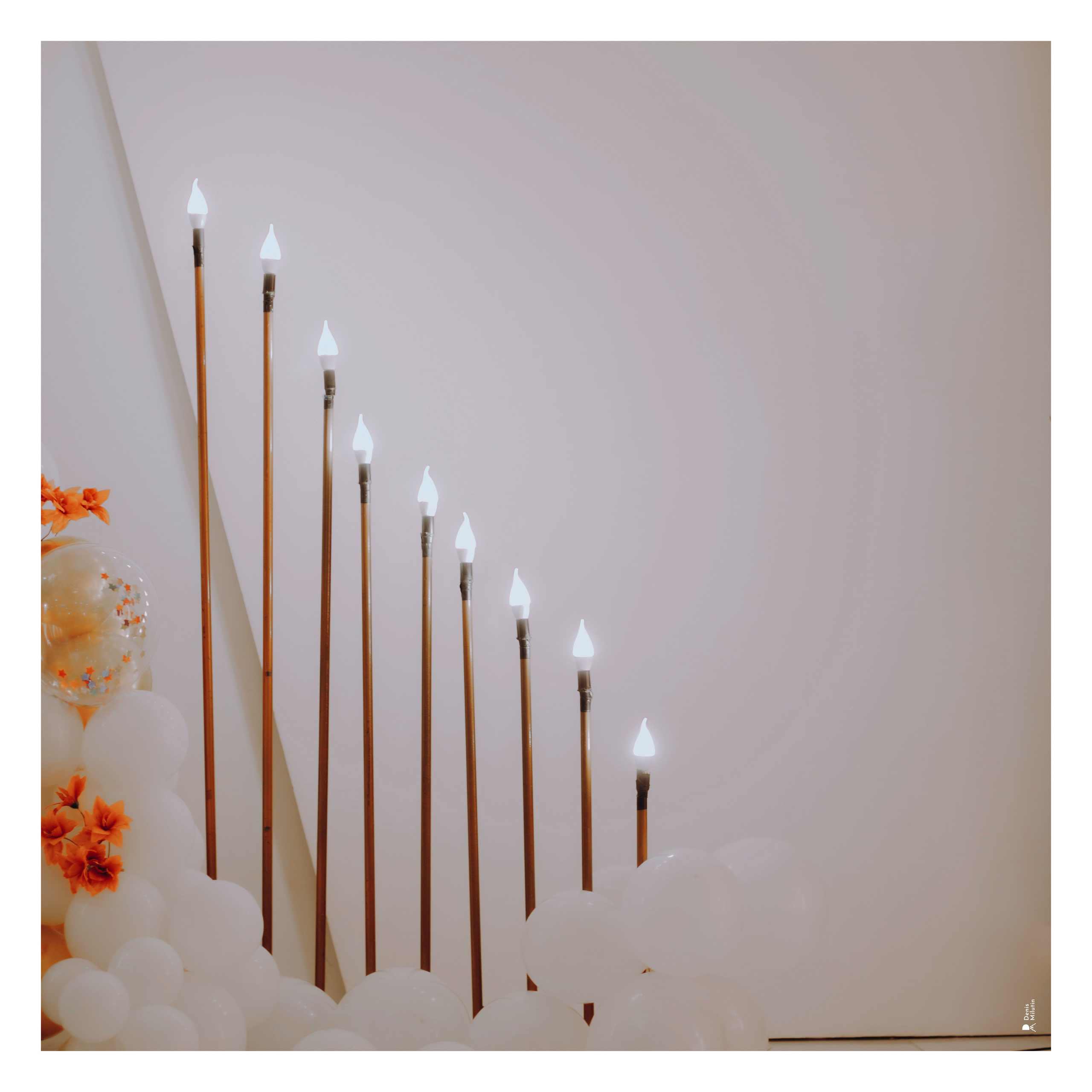 Ресторан Сенакцы. Портретный фотограф Денис Милютин