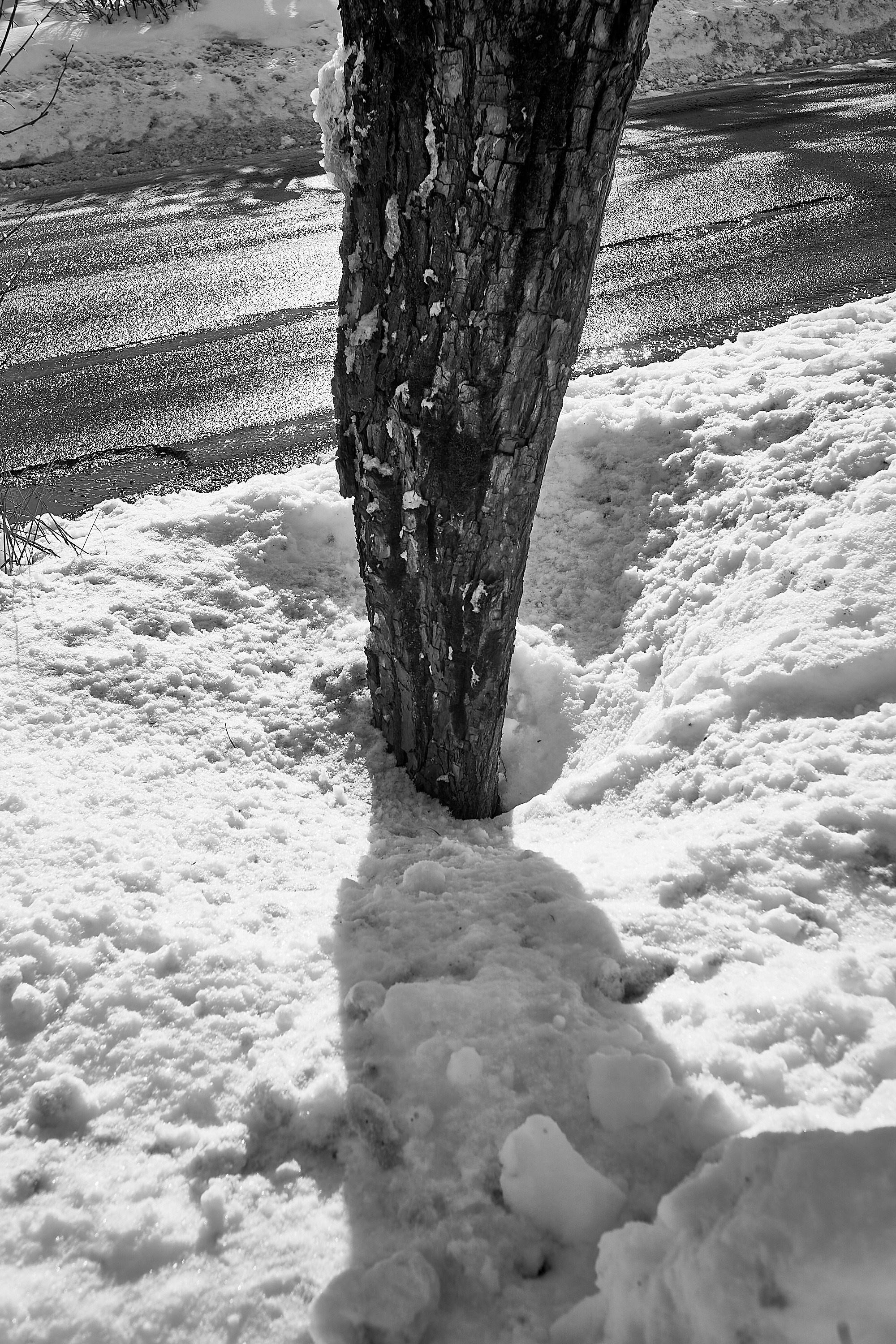 Формы Дерева 22г -…. Фотограф и оператор мероприятий, концертов и портретов в городе Москва