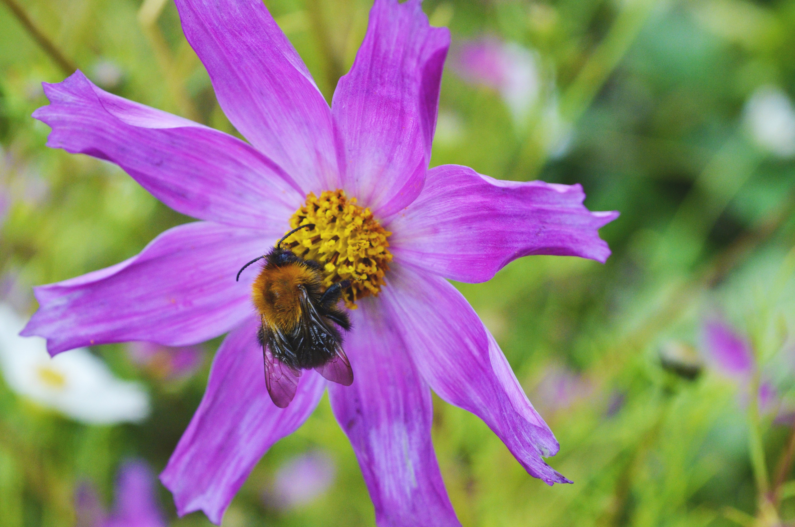 Природа. Анастасия Куц | фотограф | Пермский край