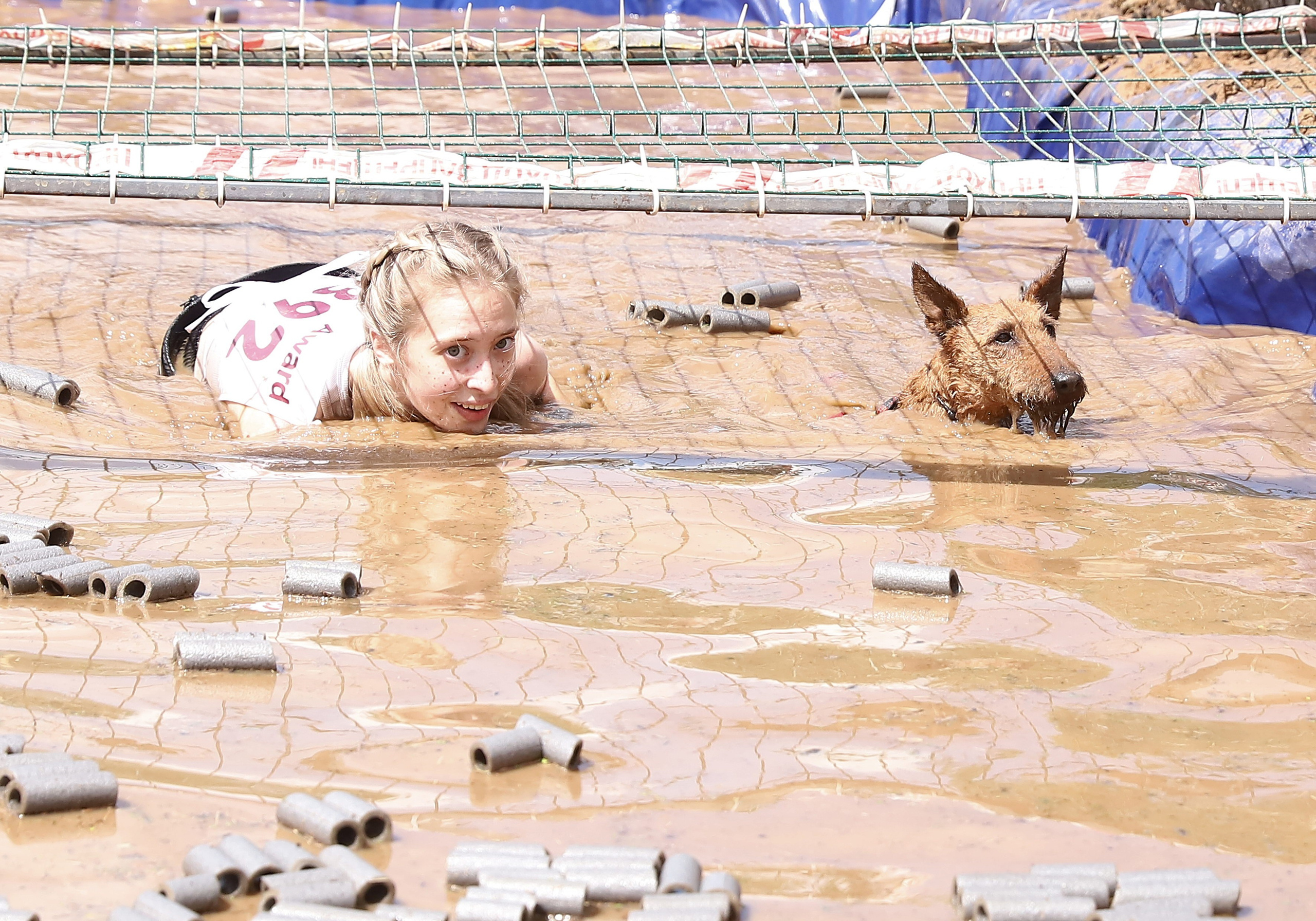 Хвостатый драйв. Семейный и детский фотограф в Москве и МО Елена Москвичева
