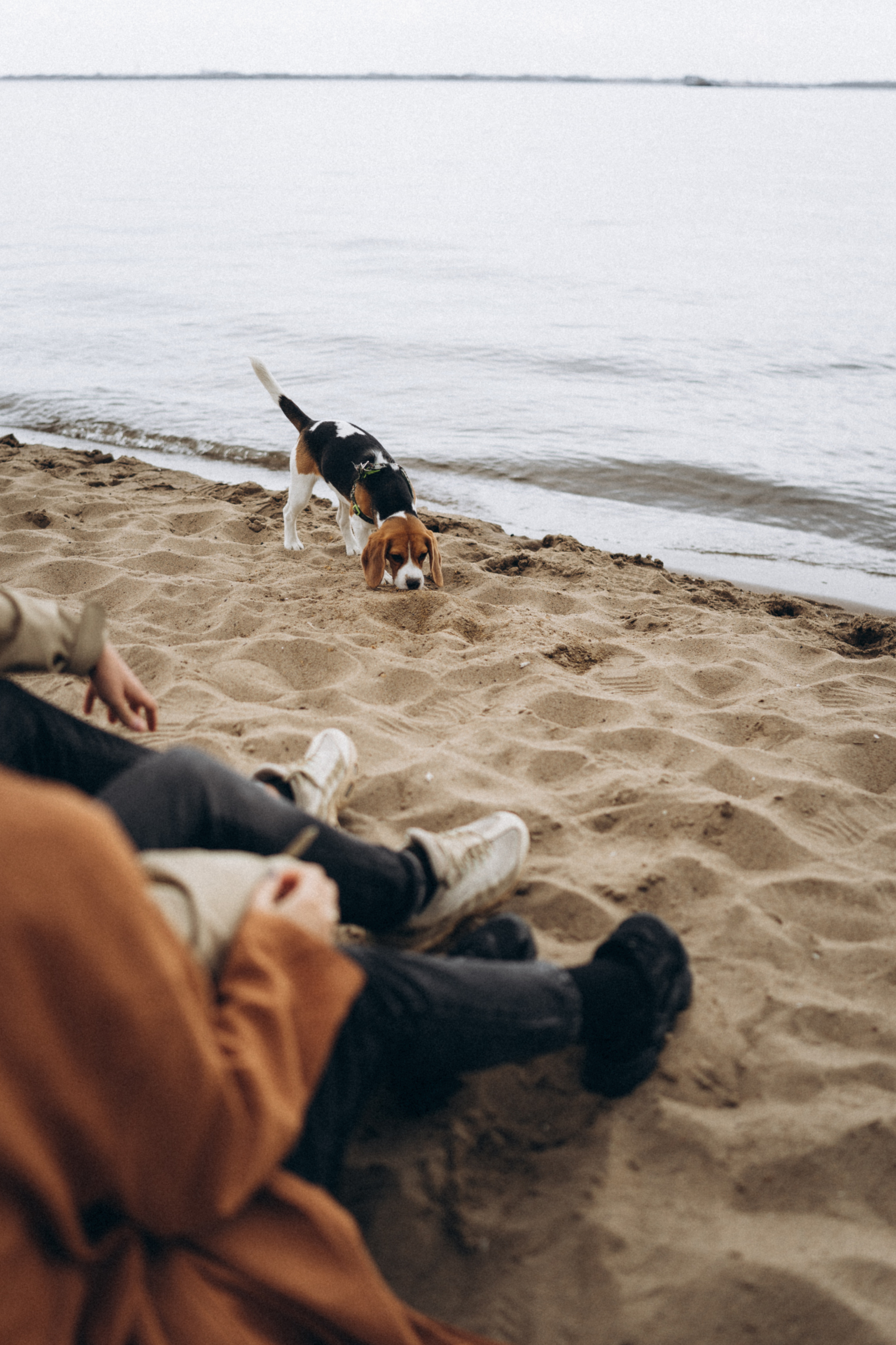 Алина и Никита. Семейный и портретный фотограф в Саратове Сахарова Маша
