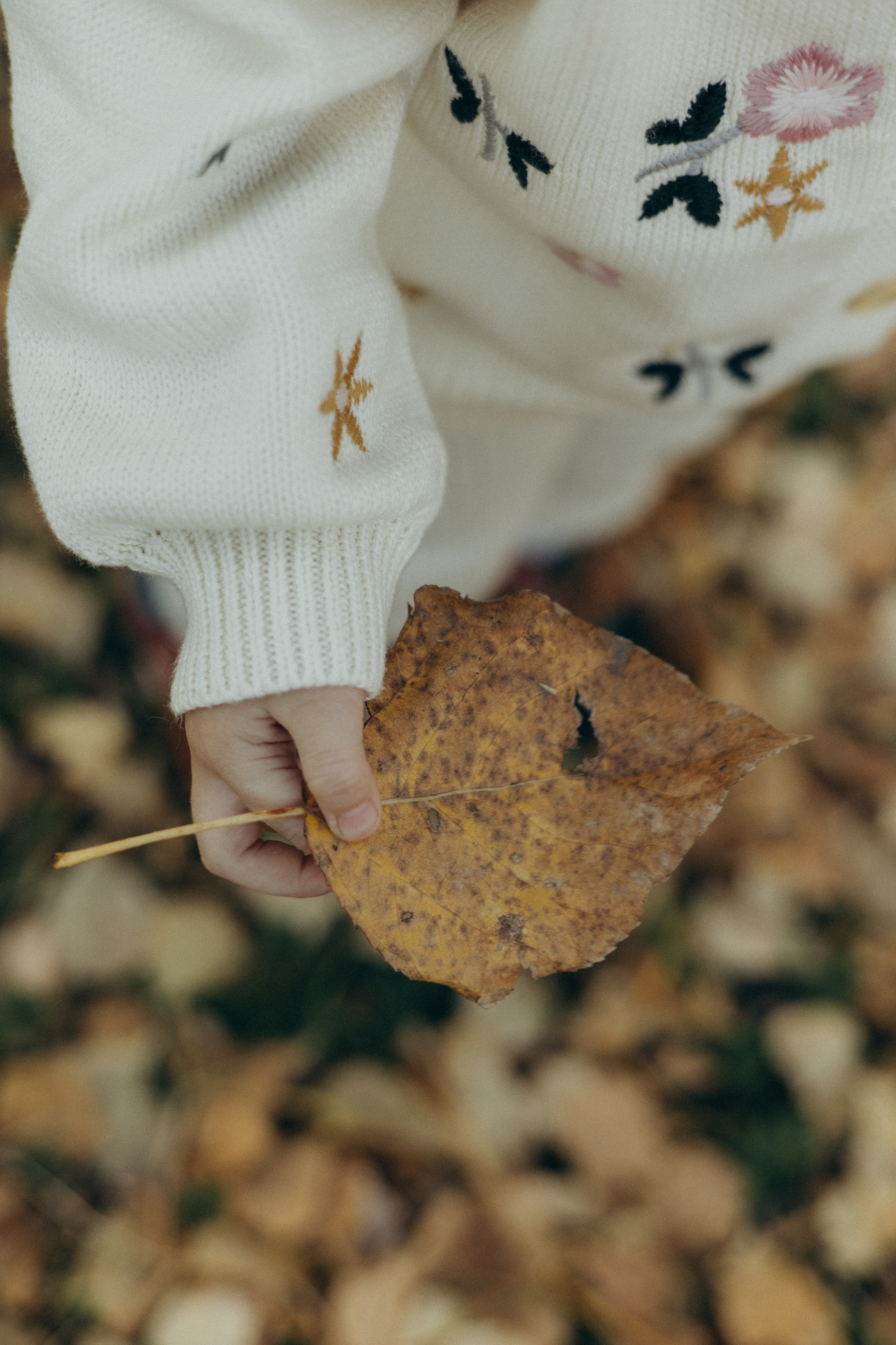Счастливые мгновения осени. Фотограф в г. Чита