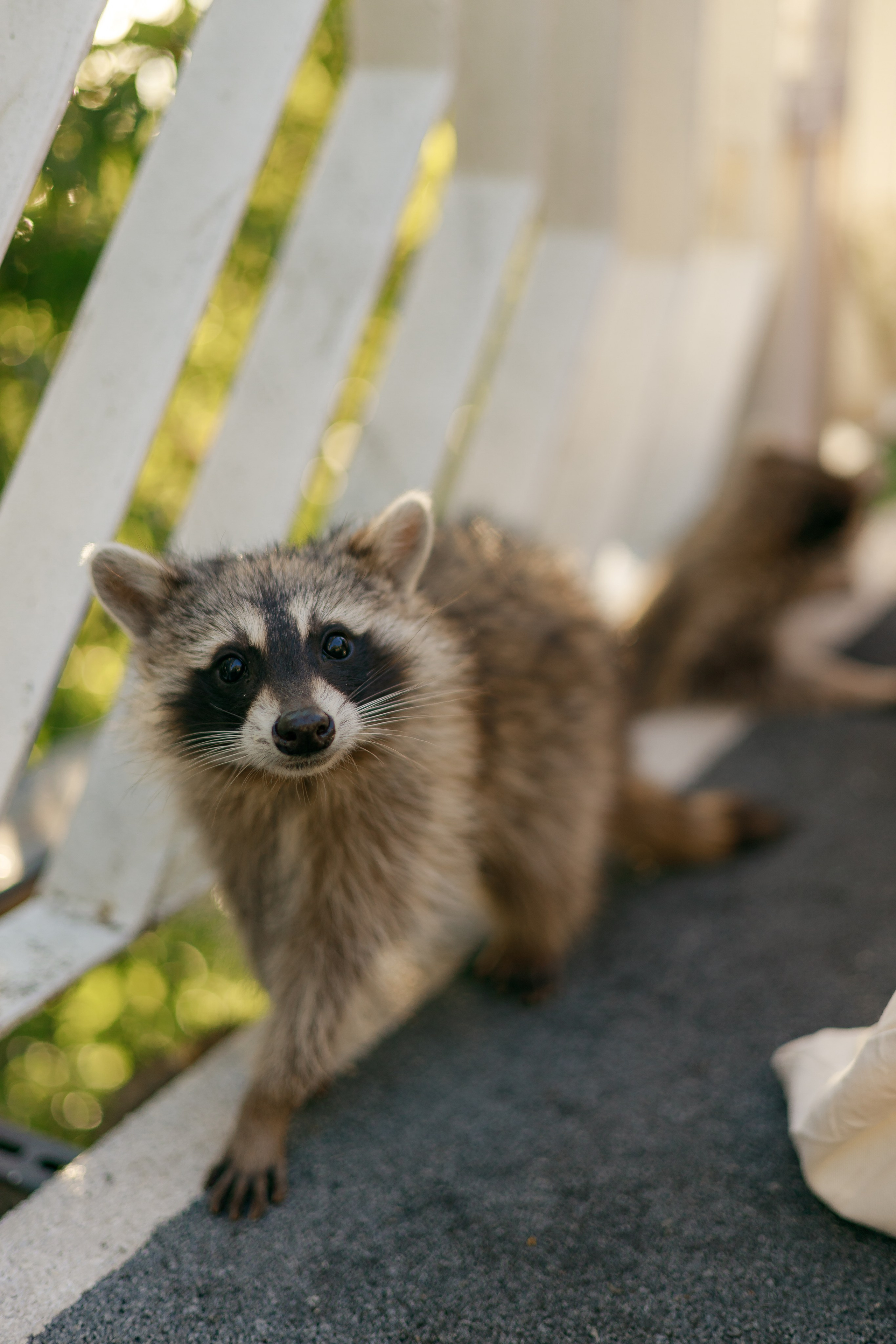 Александр, Гузель и Владимир