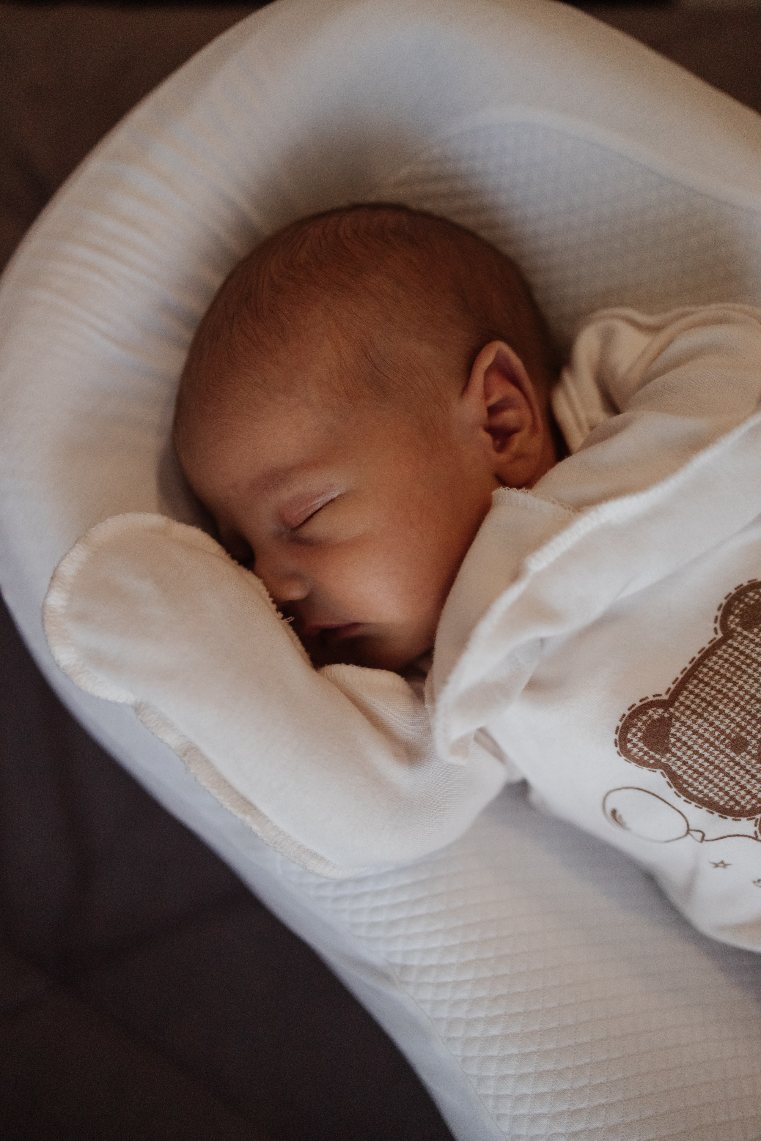 Гордей. Фотограф Новосибирск