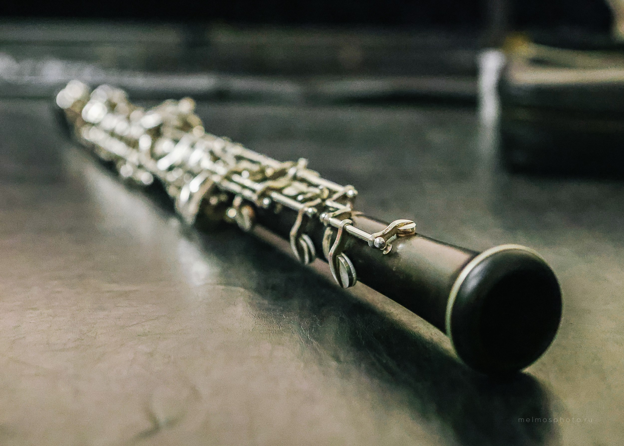 Иван Паисов (гобой). Репортажный, архитектурный, театральный и файн-арт фотограф Лена Мельникова в Москве