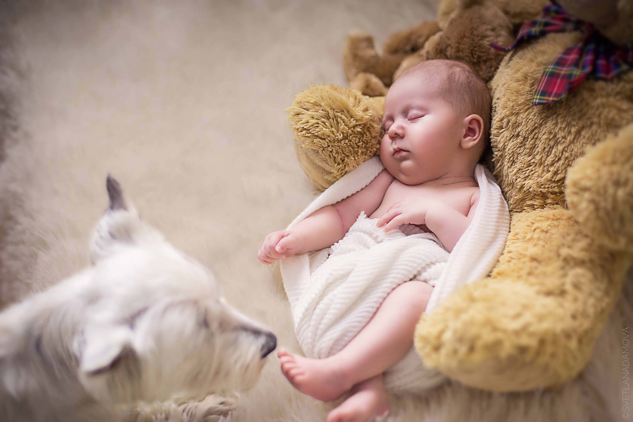 Младенцы. Детский и семейный фотограф в Москве и Подмосковье Светлана Адамова