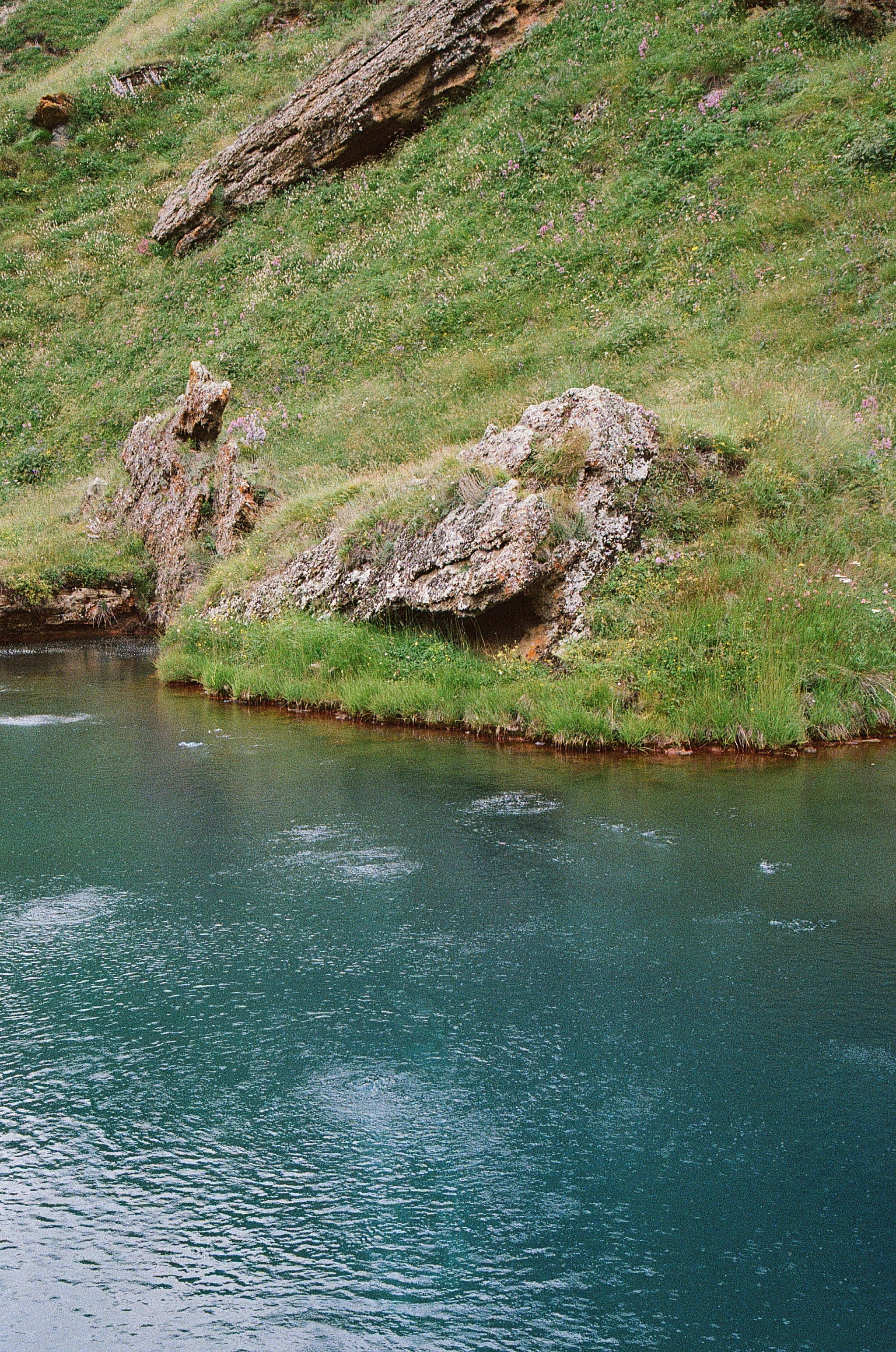 ГРУЗИЯ. ПРИРОДА.25. Профессиональный фотограф Федотова Арина