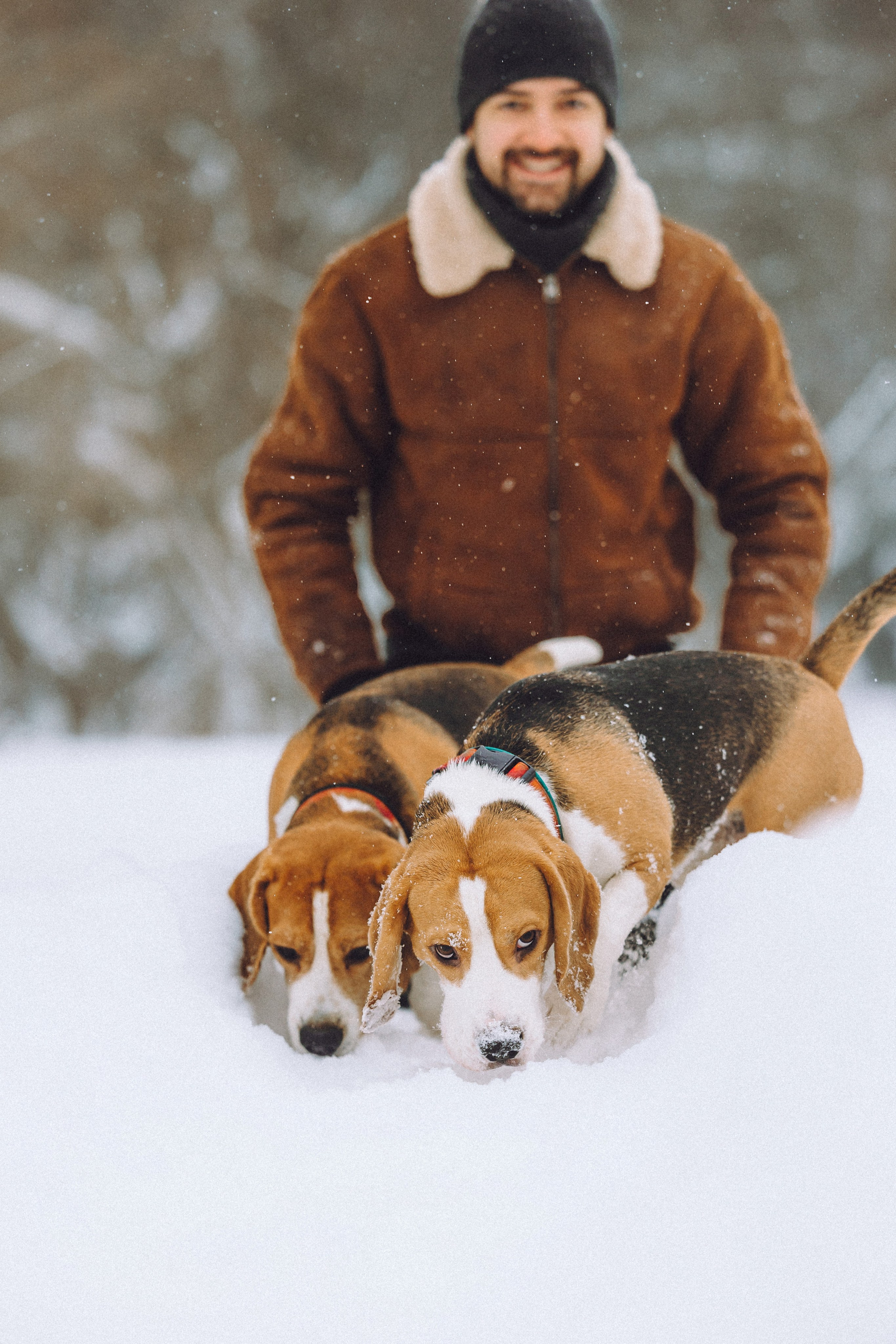 Роман, Портер и Коррес