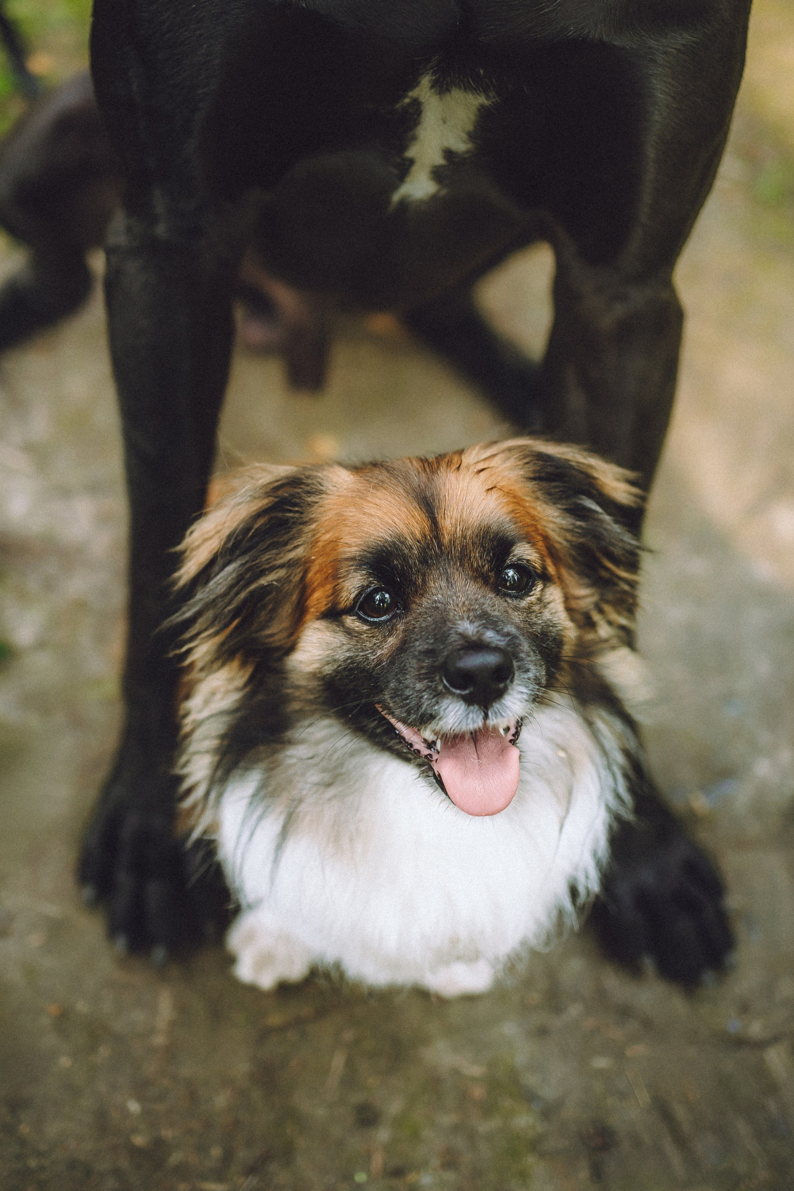 Катя, Андрей, Гектор, Ричи, Тортик и Трой