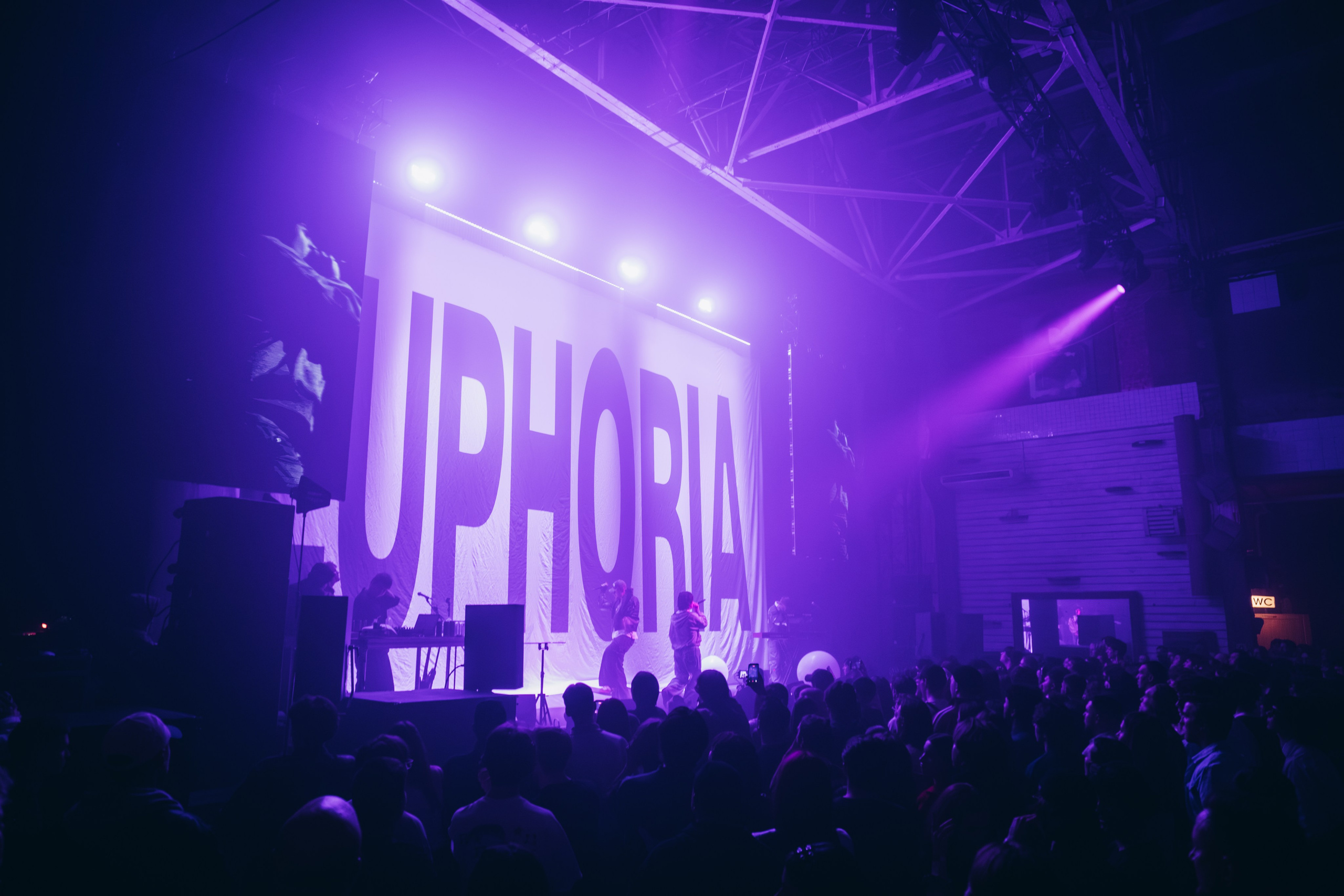 SALUKI. Фотограф Санкт-Петербурга