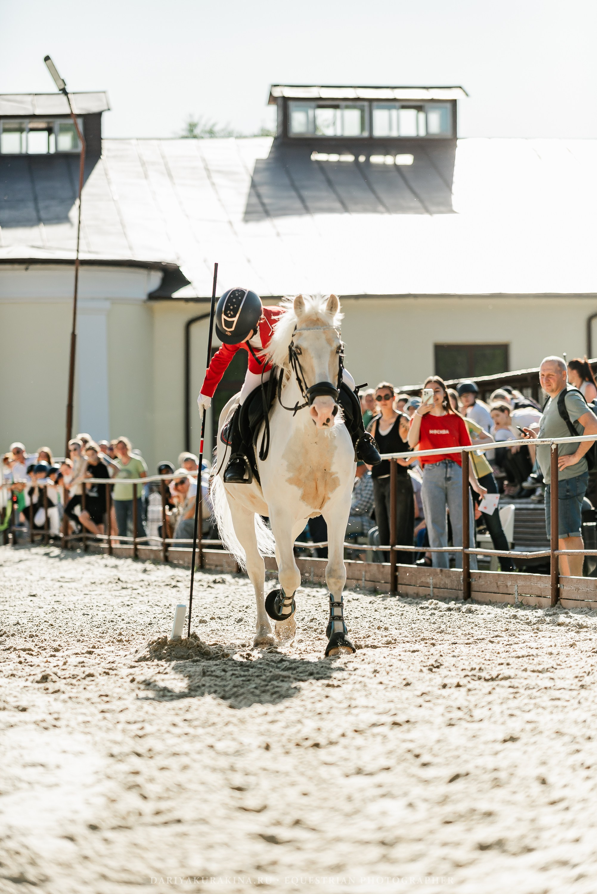 #ПОНИФОРУМ 2024. Конный фотограф Куракина Дарья • Фотосессии с лошадьми