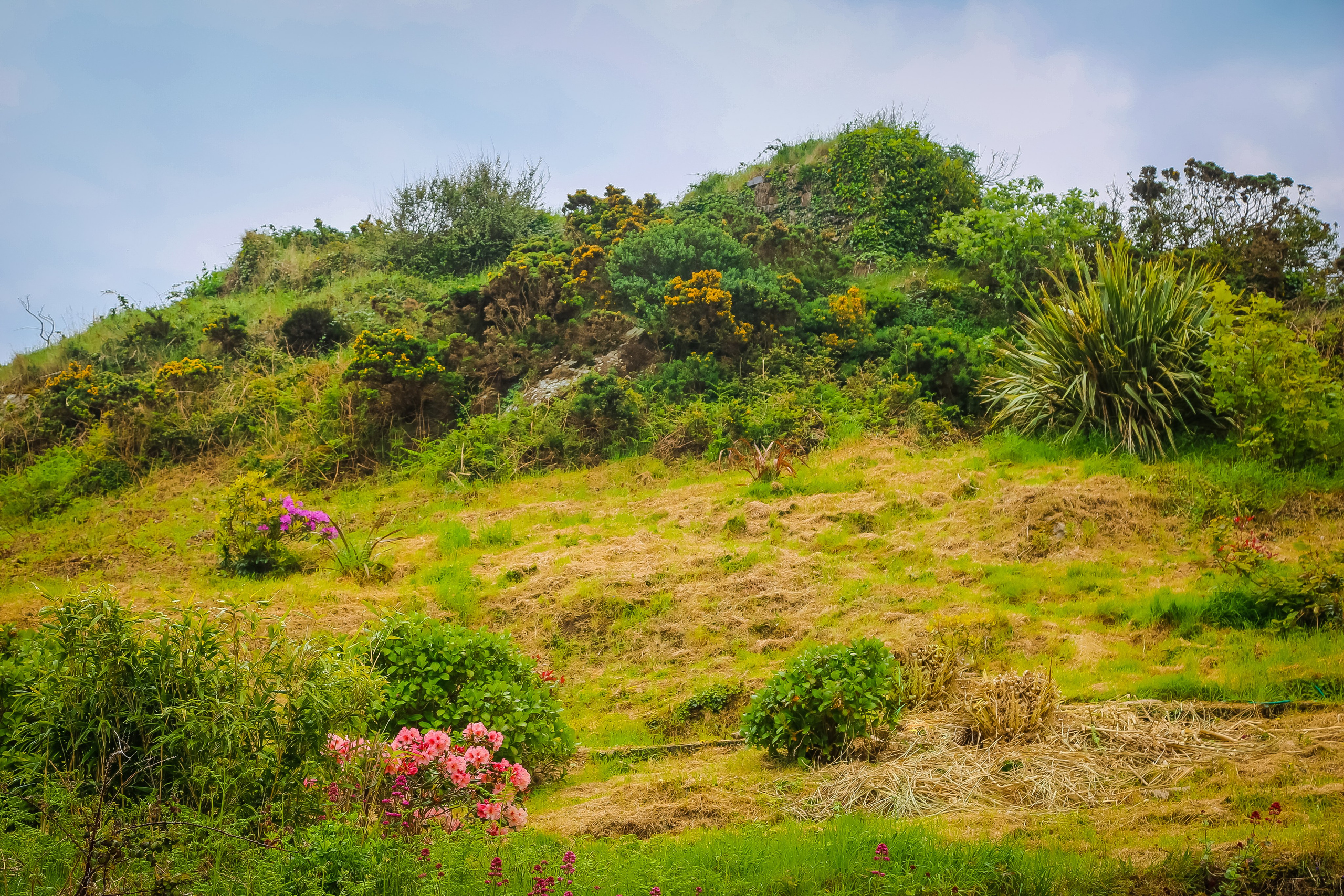 Ирландия: Хоут — тропинка на одного. Дарья Письменюк / Darya Leitstern — фотограф, музыкант, журналист, путешественник