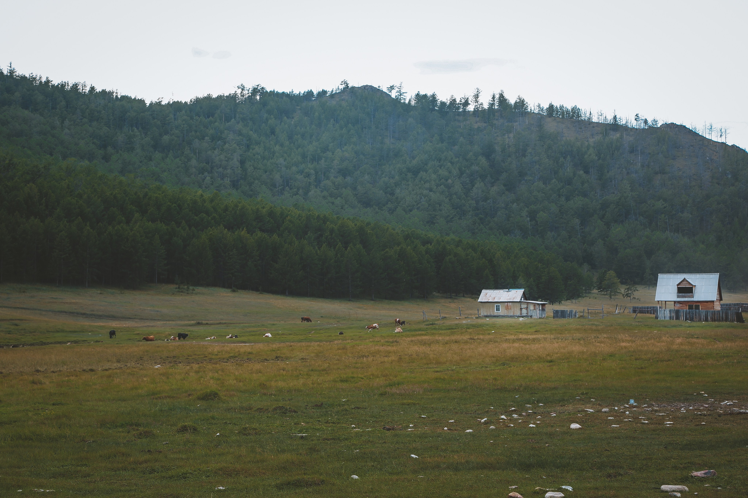 Байкал летний: легенды и святыни. Дарья Письменюк / Darya Leitstern — фотограф, музыкант, журналист, путешественник
