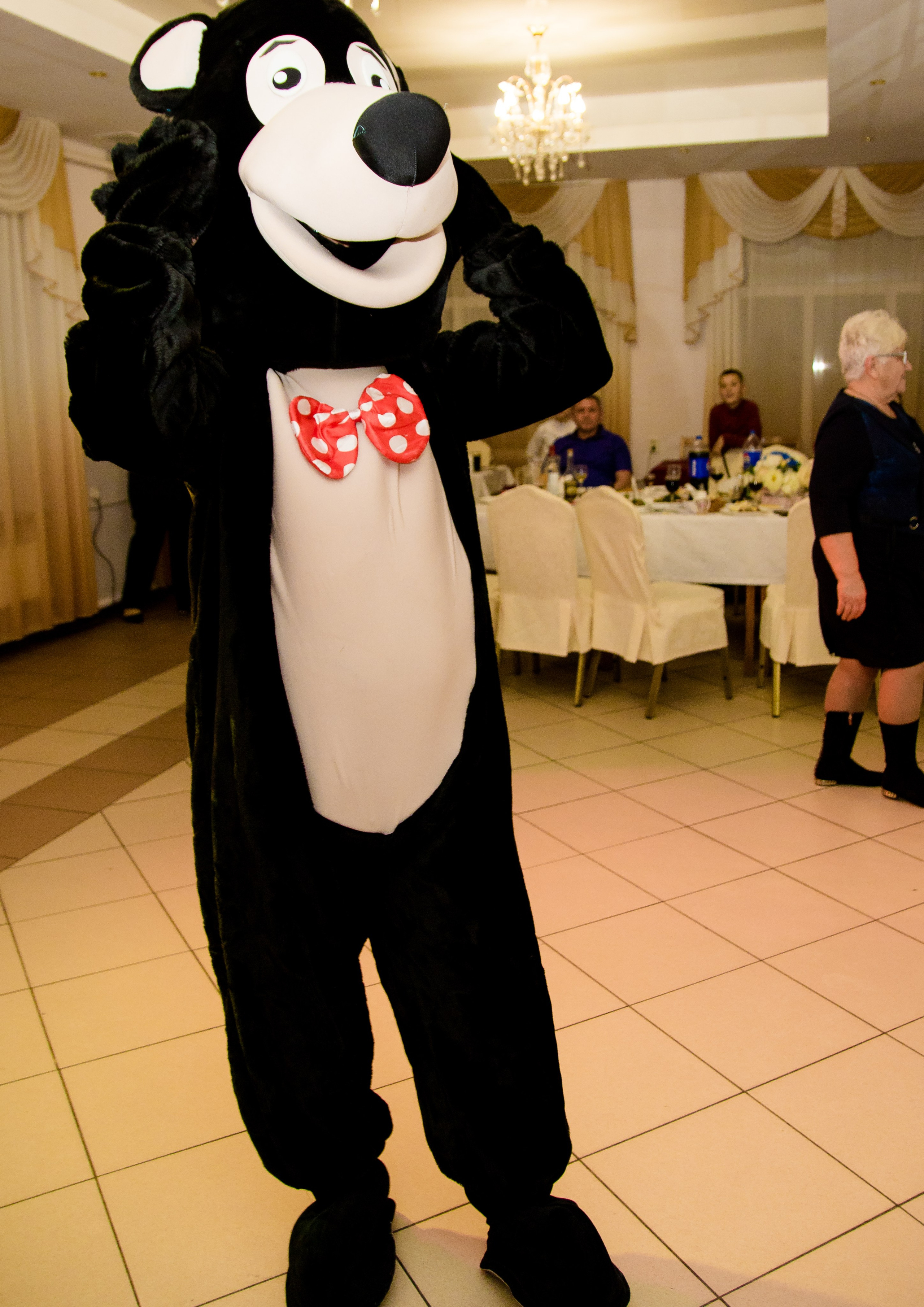 Эксперсс поздравление.ростовые куклы, медведь, панда, горилла. Организатор праздников. Ведущая Марина Гребенникова