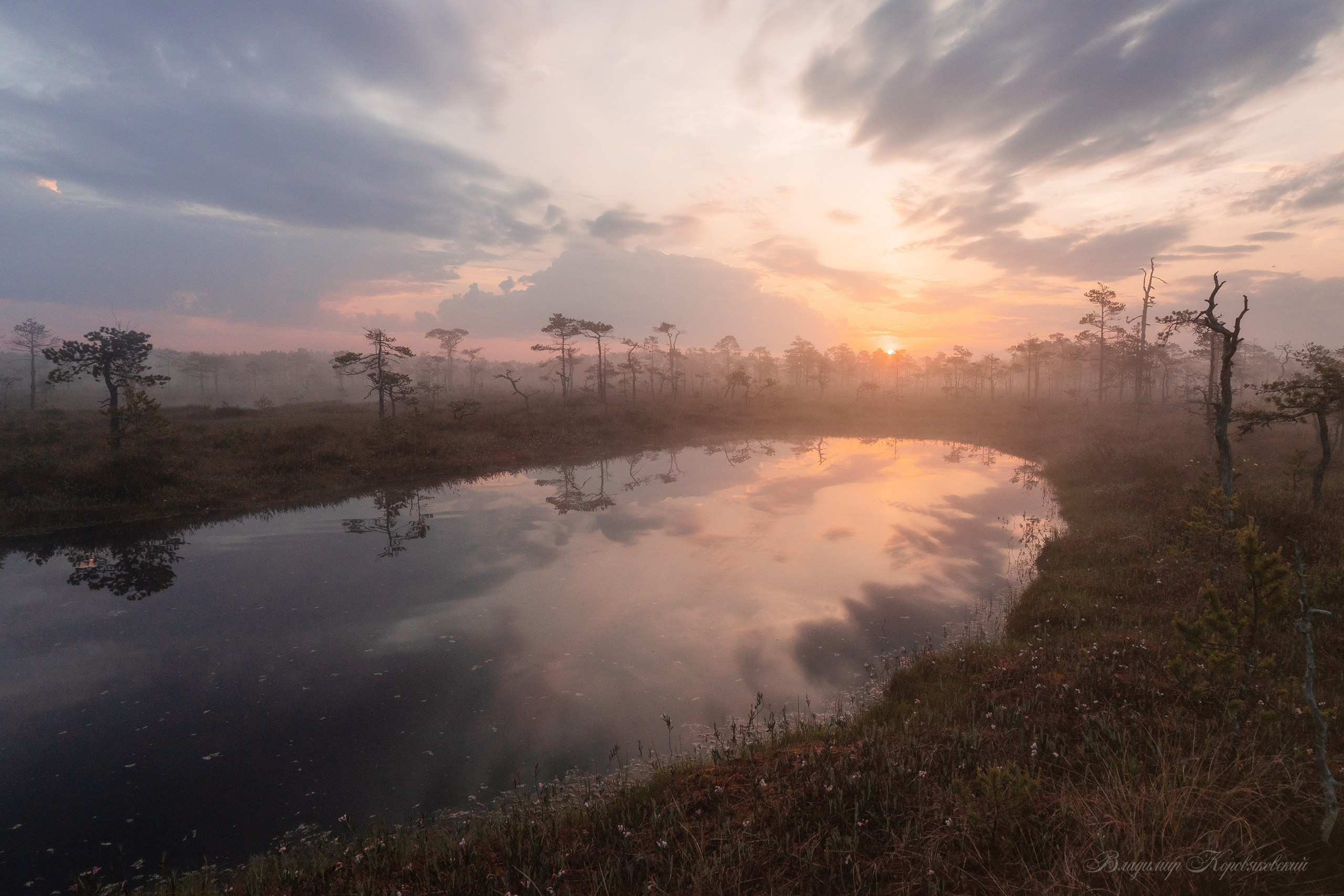 Природа. Фотограф Владимир Коровяковский
