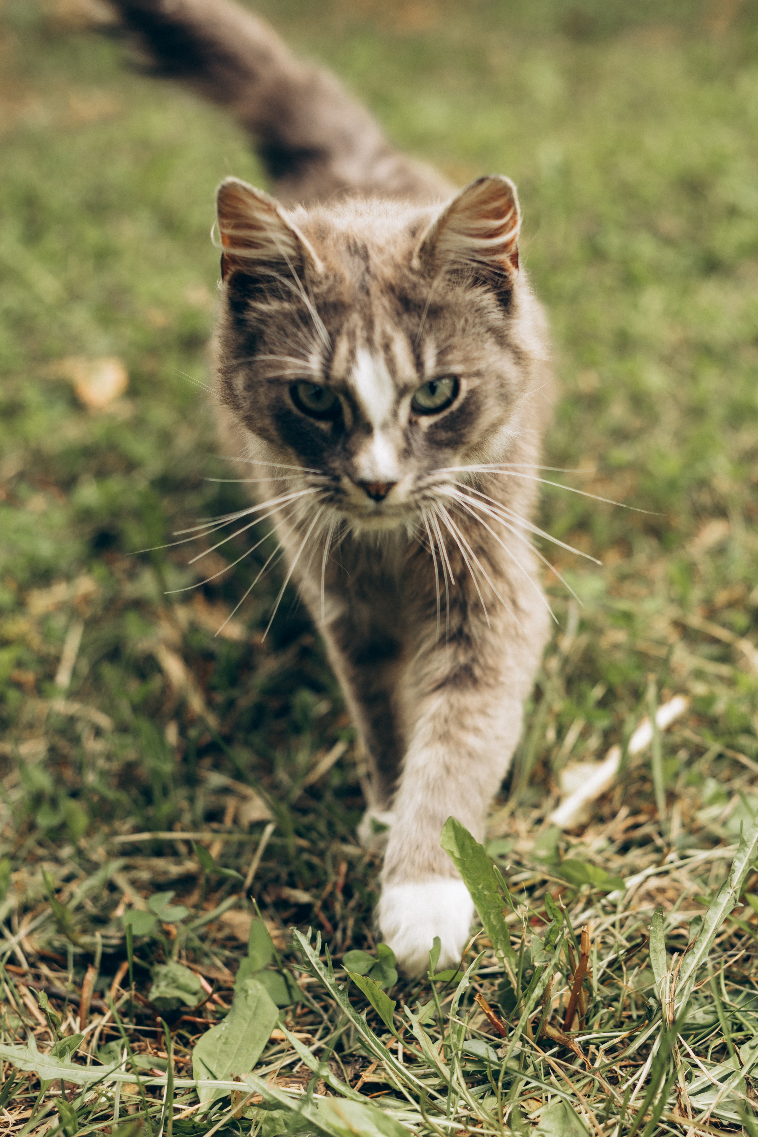 Индивидуальные Съемки. Свадебный и семейный фотограф в Москве Анастасия. Помогу вам быть собой и создам теплые, живые фотографии. Семейный фотограф в Дмитрове