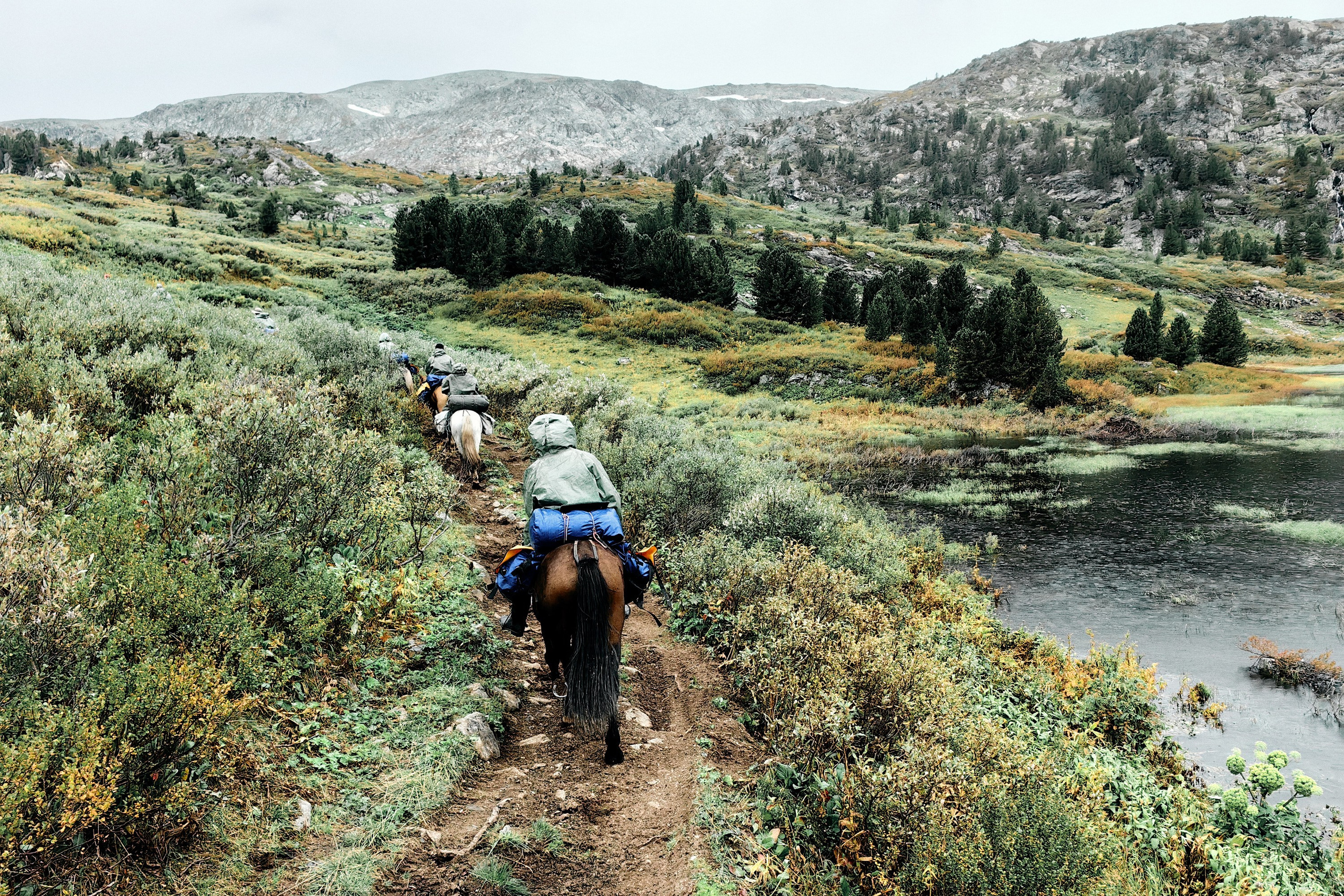 Алтай. Юрий Березнюк. Фотожурналистика