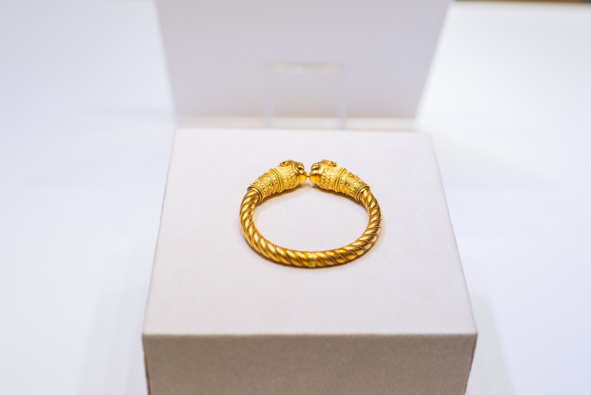 Егор Шапиро. Экскурсия в музей Фаберже. Ноябрь 24. Репортажный фотограф в Санкт-Петербурге Анастасия Клёпова