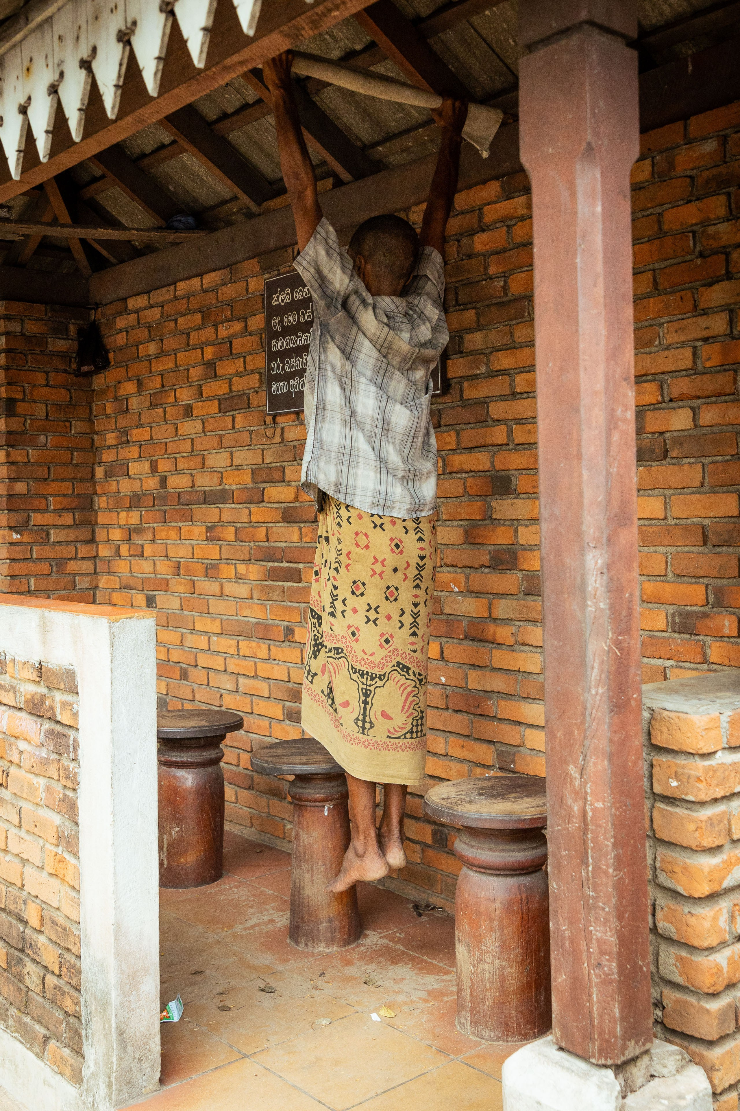 Шри-Ланка (весна 2024). Фотограф Виноградов Константин