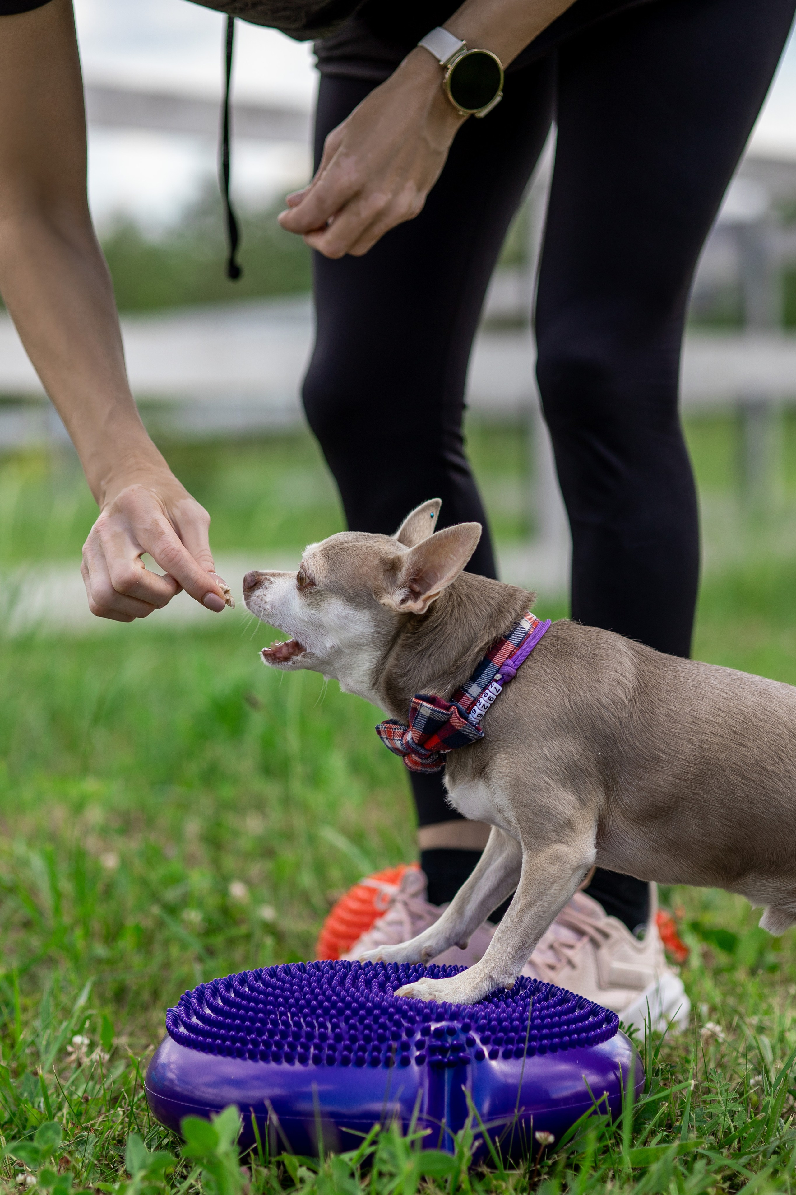 Репортаж по Ноузворку. Анастасия Белаш