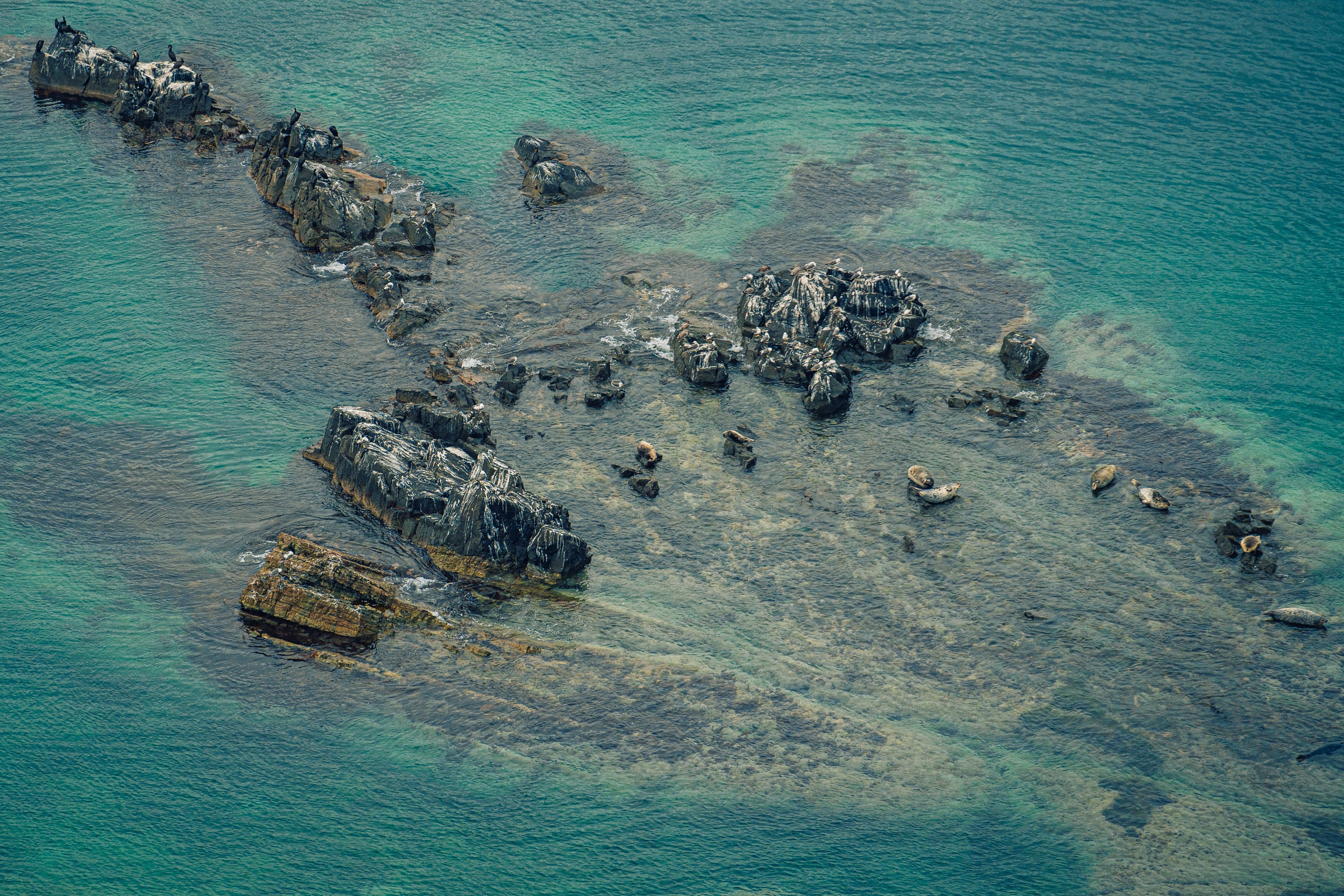 Мыс Четырех Скал. Иван Зайцев (IZIART) — создание культурного кода через фото и видео