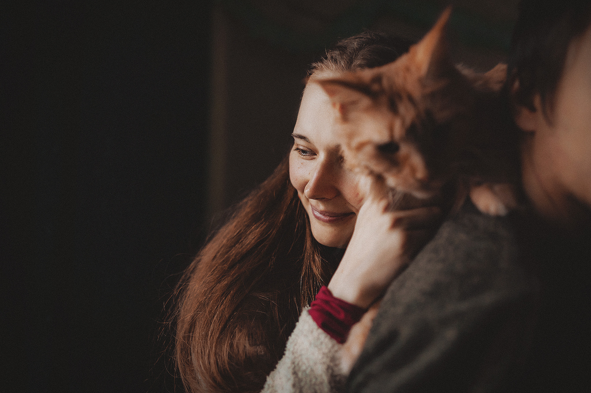 Котики love story. Фотограф-анималист • love-story • Санкт-Петербург