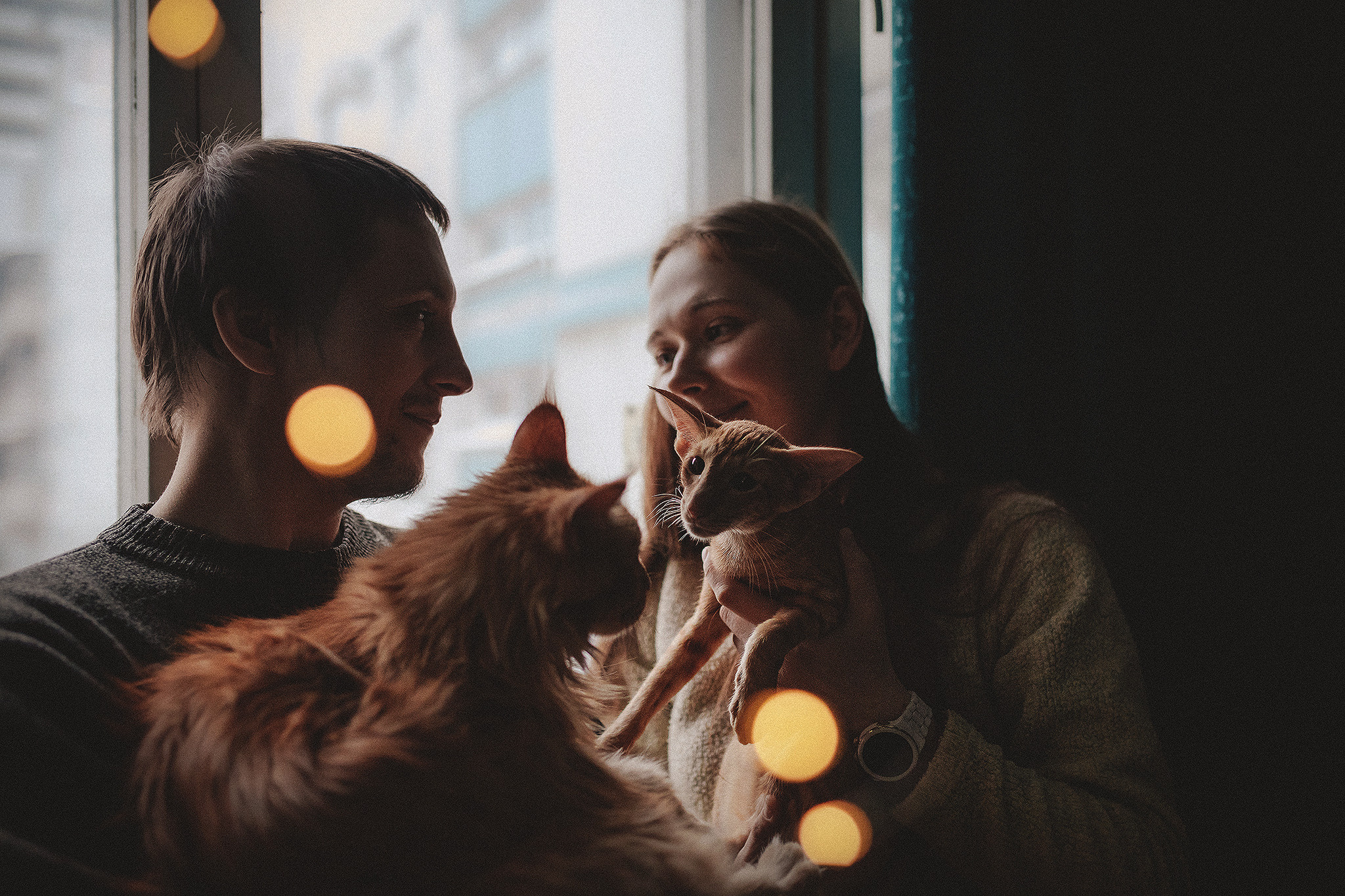 Котики love story. Фотограф-анималист • love-story • Санкт-Петербург