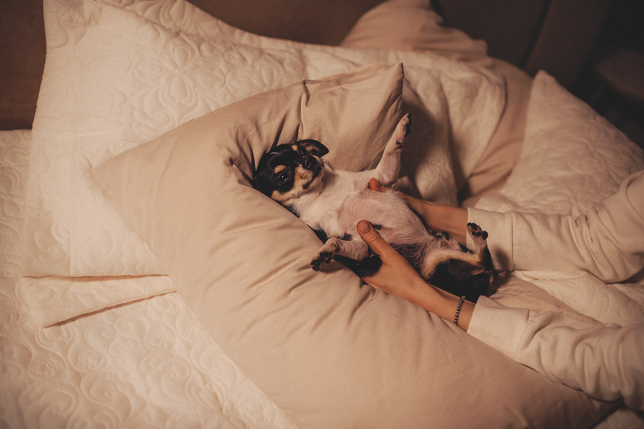 Хати и Света. Фотограф-анималист • love-story • Санкт-Петербург