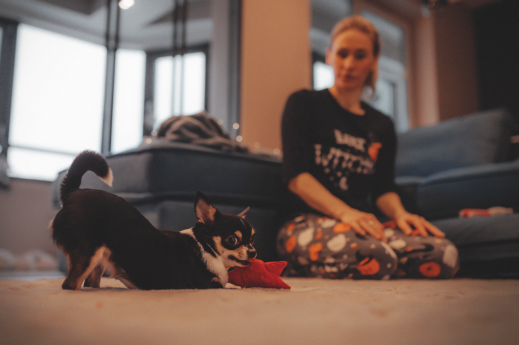 Хати и Света. Фотограф-анималист • love-story • Санкт-Петербург