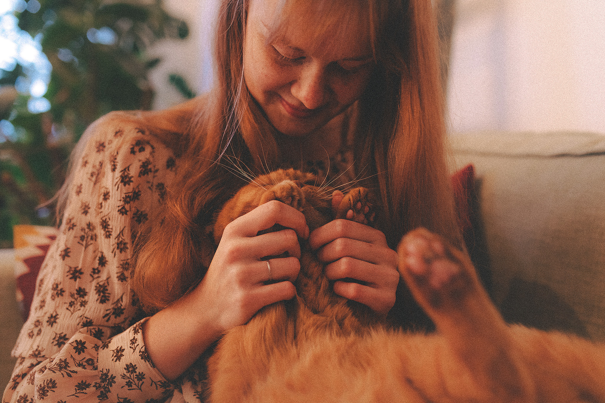 Паня, Алиса. Фотограф-анималист • love-story • Санкт-Петербург