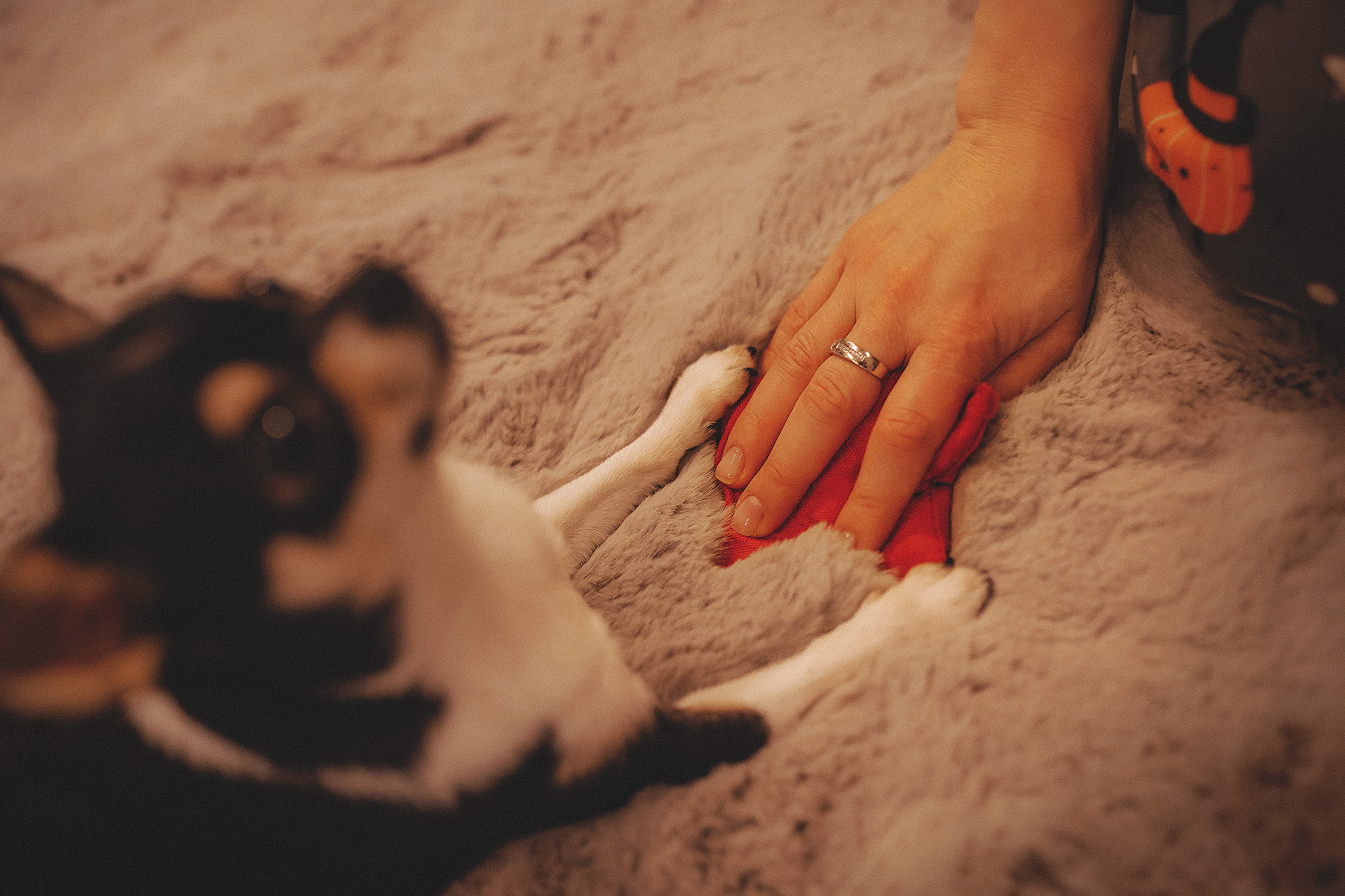 Хати и Света. Фотограф-анималист • love-story • Санкт-Петербург