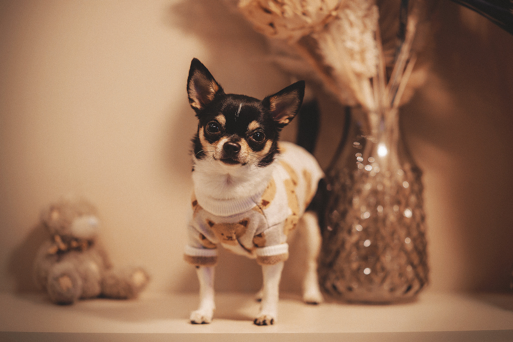 Хати и Света. Фотограф-анималист • love-story • Санкт-Петербург