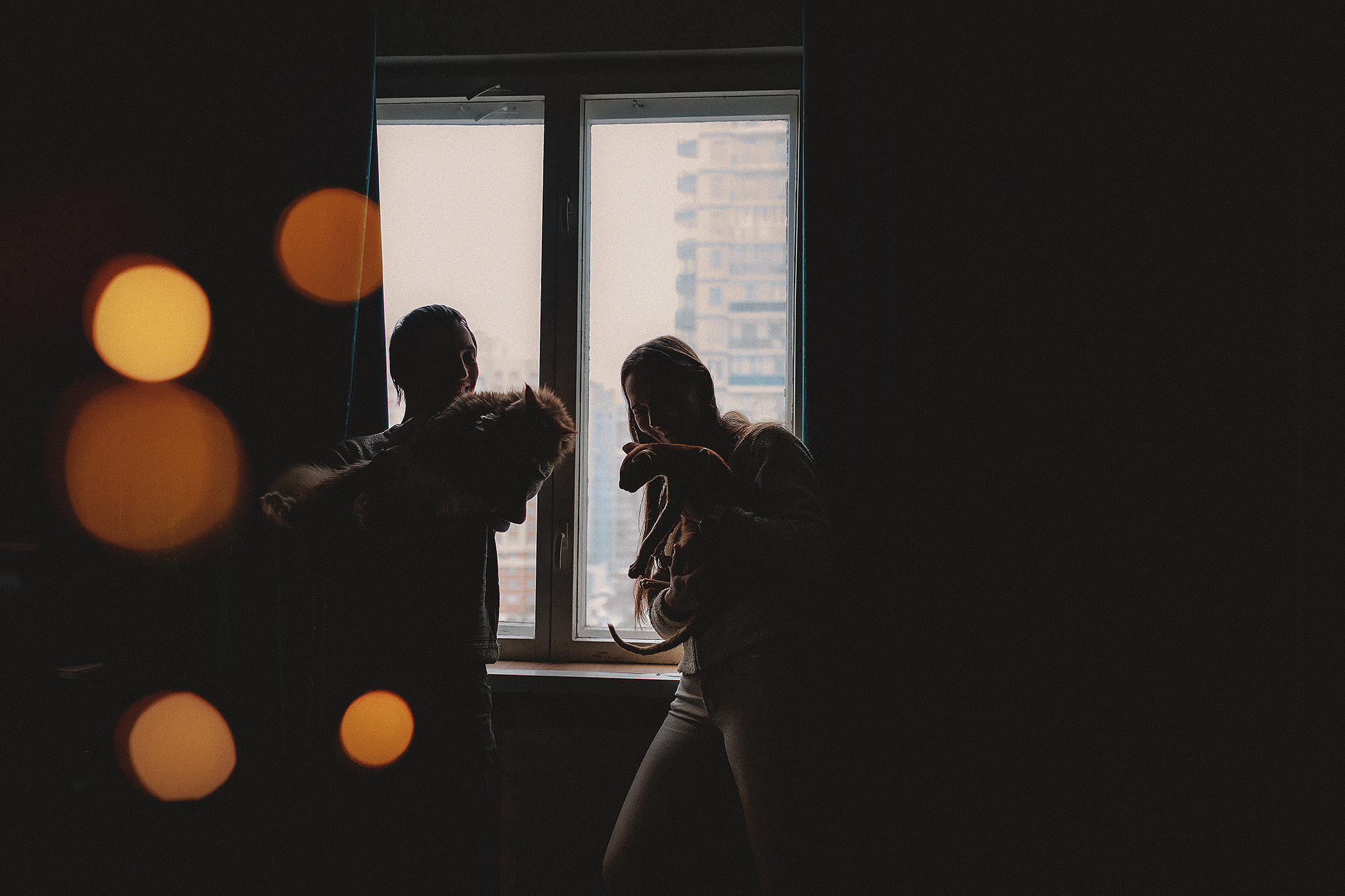 Котики love story. Фотограф-анималист • love-story • Санкт-Петербург