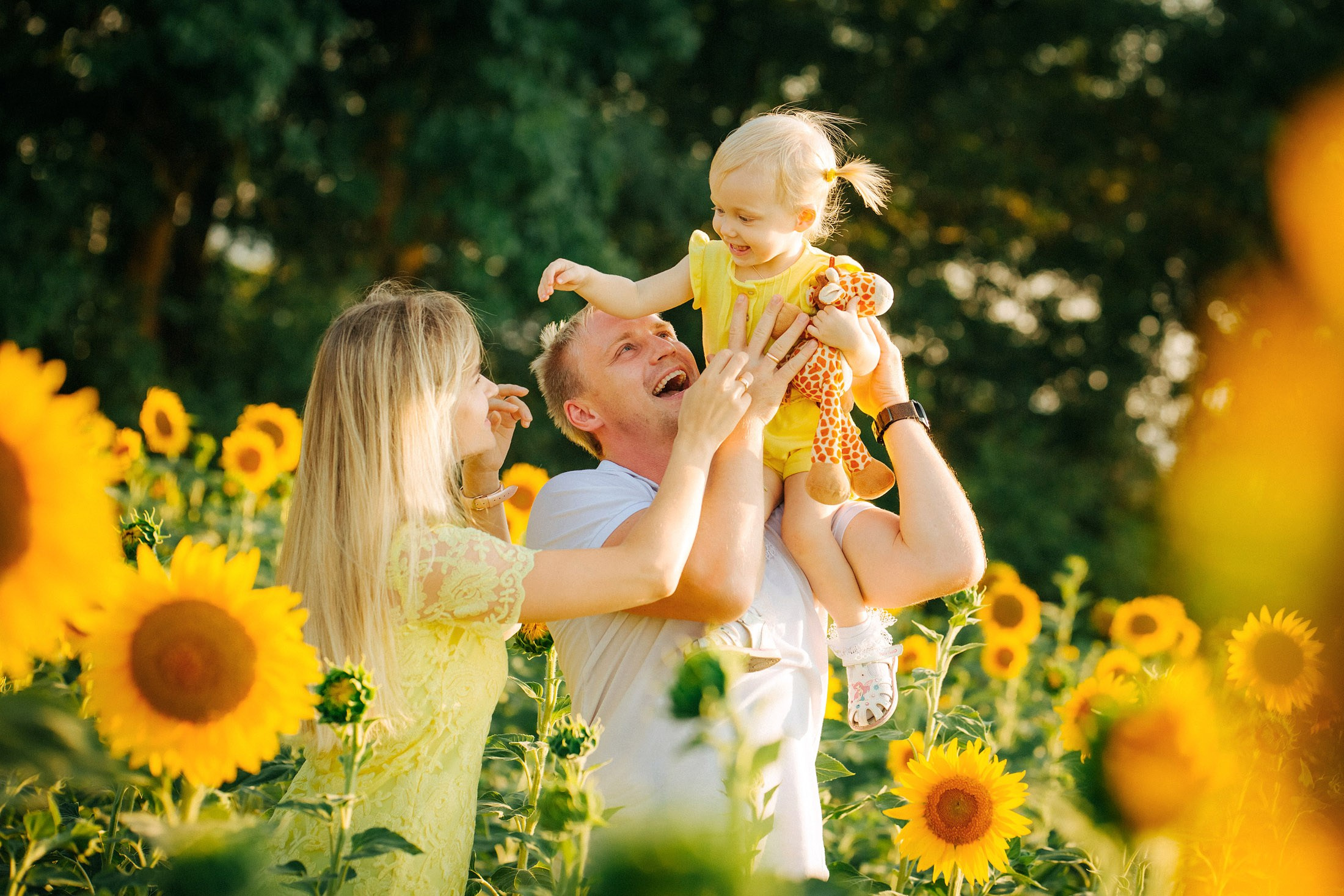 Подсолнухи!. Семейный, детский, свадебный, фотограф в городе Анапа