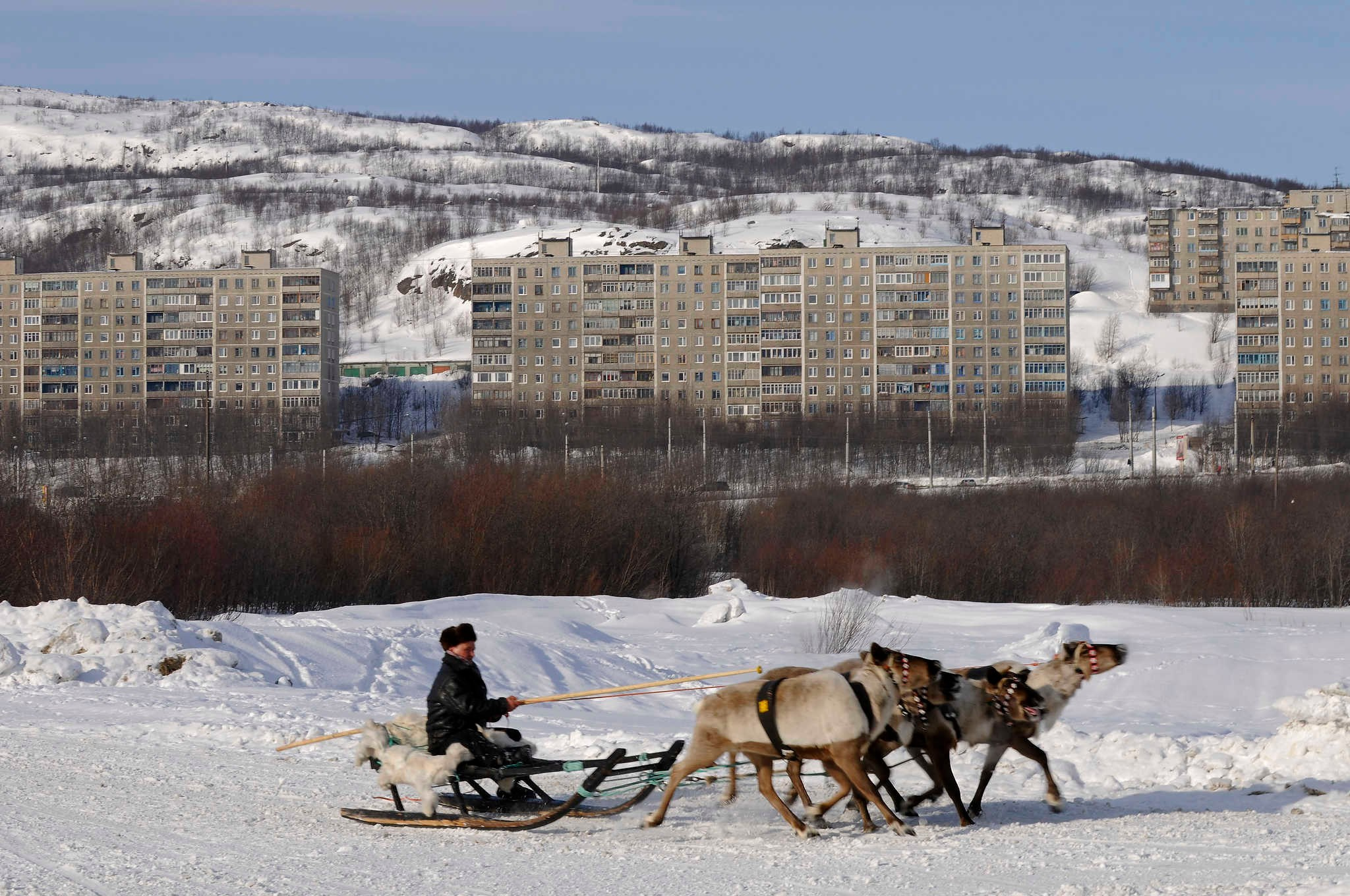 Фототур к северным оленям и саамам. 5–9 марта