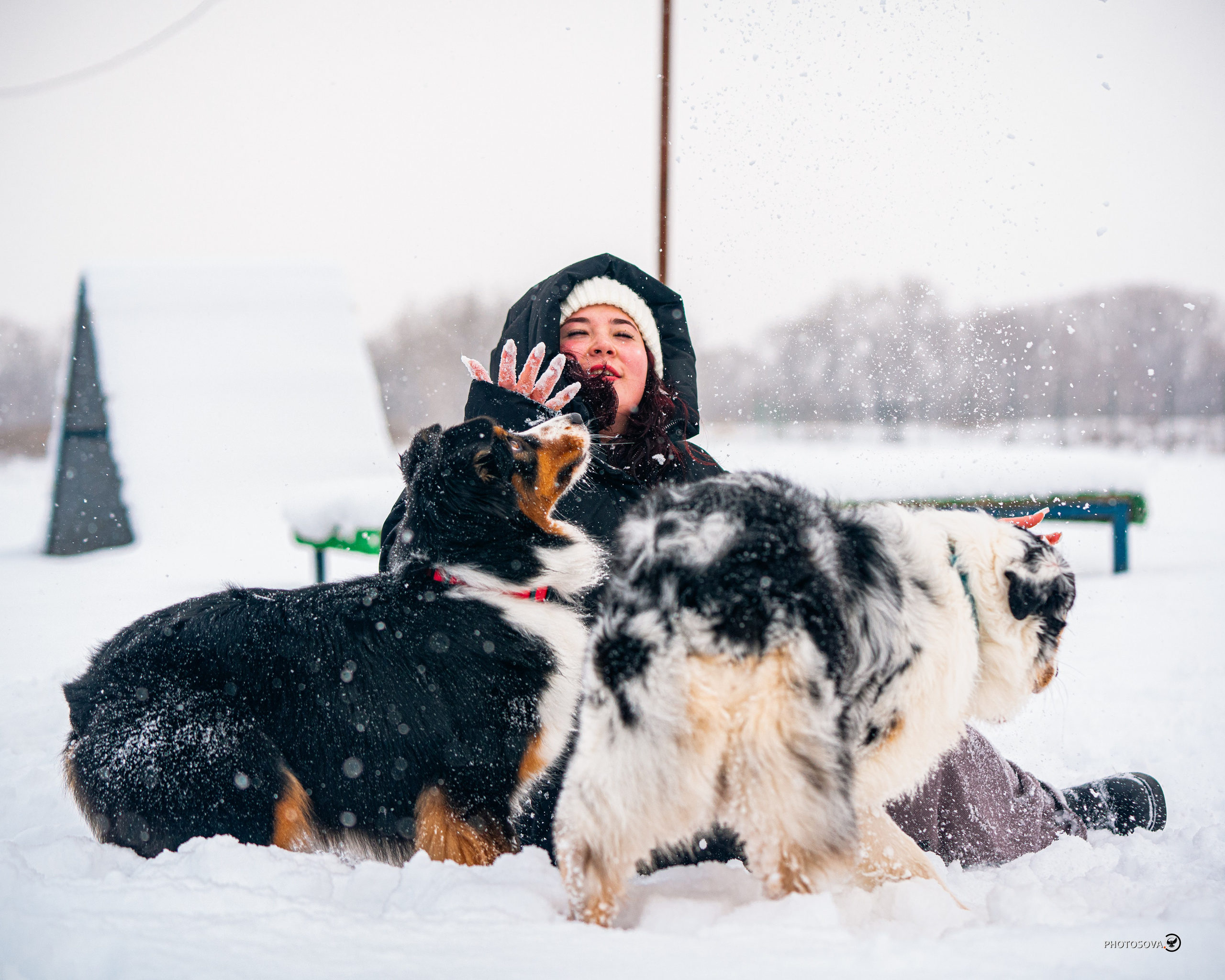 ФОТОПАМЯТЬ ВАШИХ ЭМОЦИЙ. Фотограф-анималист, семейный фотограф в Москве и Подмосковье. Фотосъёмка кинологических дисциплин