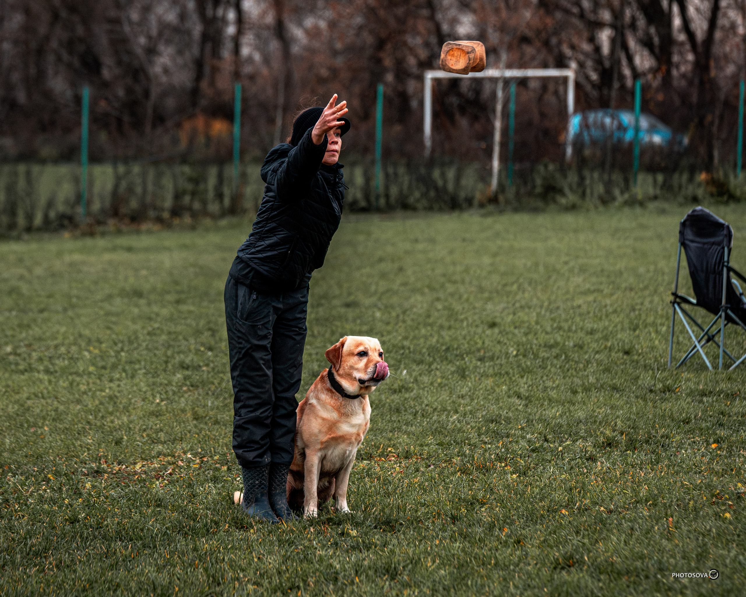 МЫ — КОМАНДА (соревнования) OKD, BH, IBGH, IGP. Фотограф-анималист, семейный фотограф в Москве и Подмосковье. Фотосъёмка кинологических дисциплин