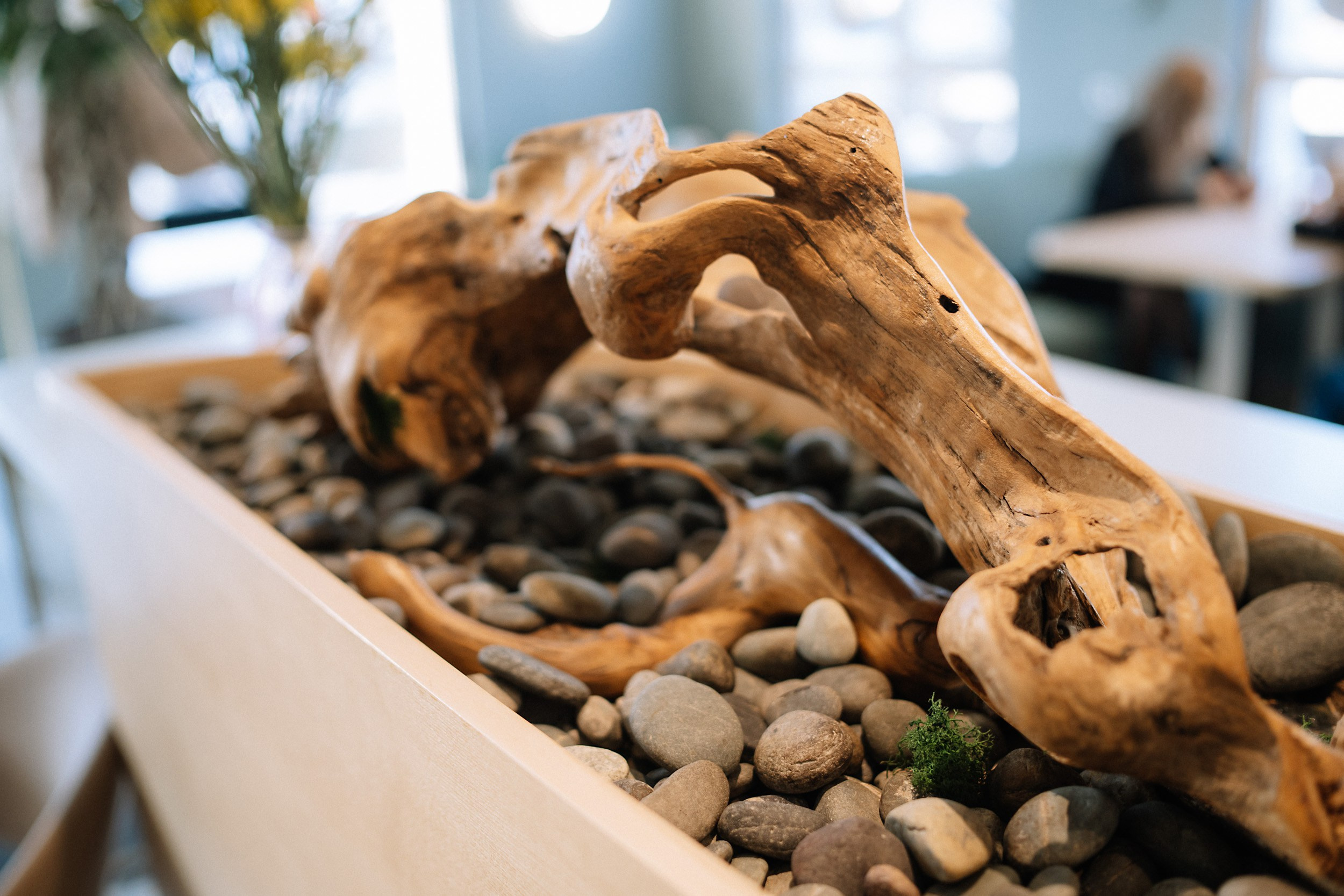 Гастротур Барнаул 14 ноября. Репортажный (Event) фотограф в Барнауле | Даниил Маркин | Качество и вайб