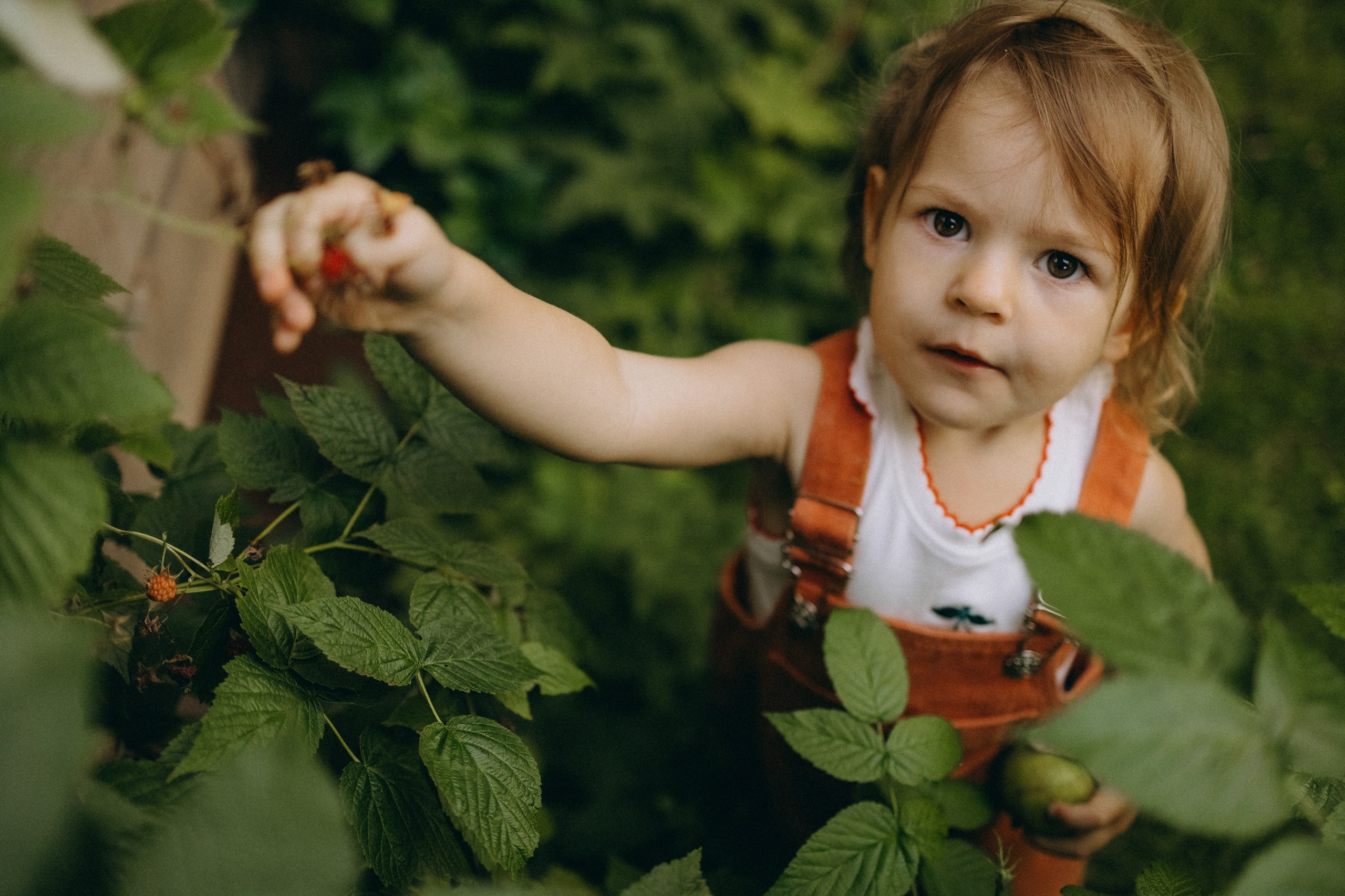 Алена, Еся, Агния. Главная
