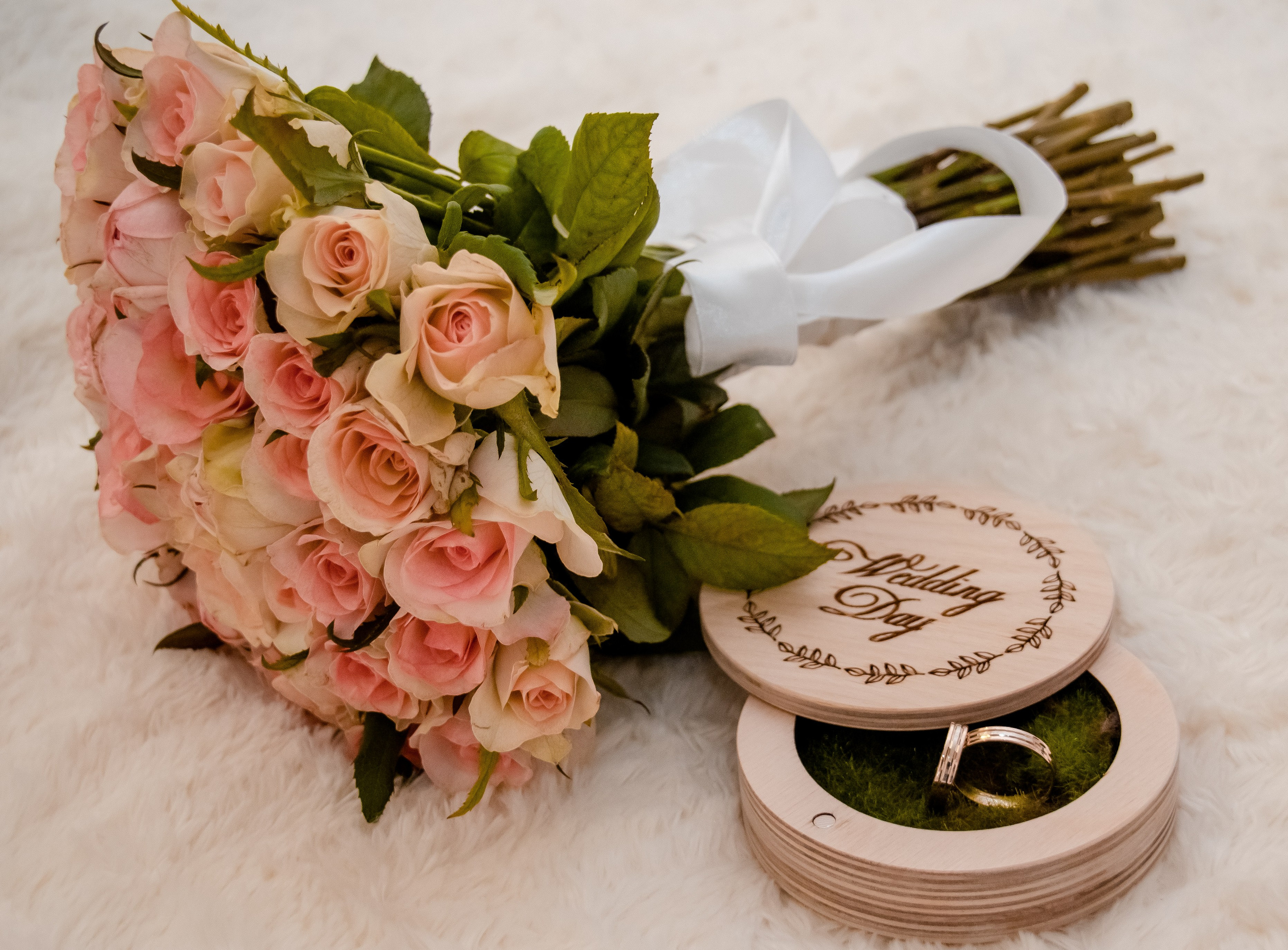 Фотографы. Организатор праздников. Ведущая Марина Гребенникова