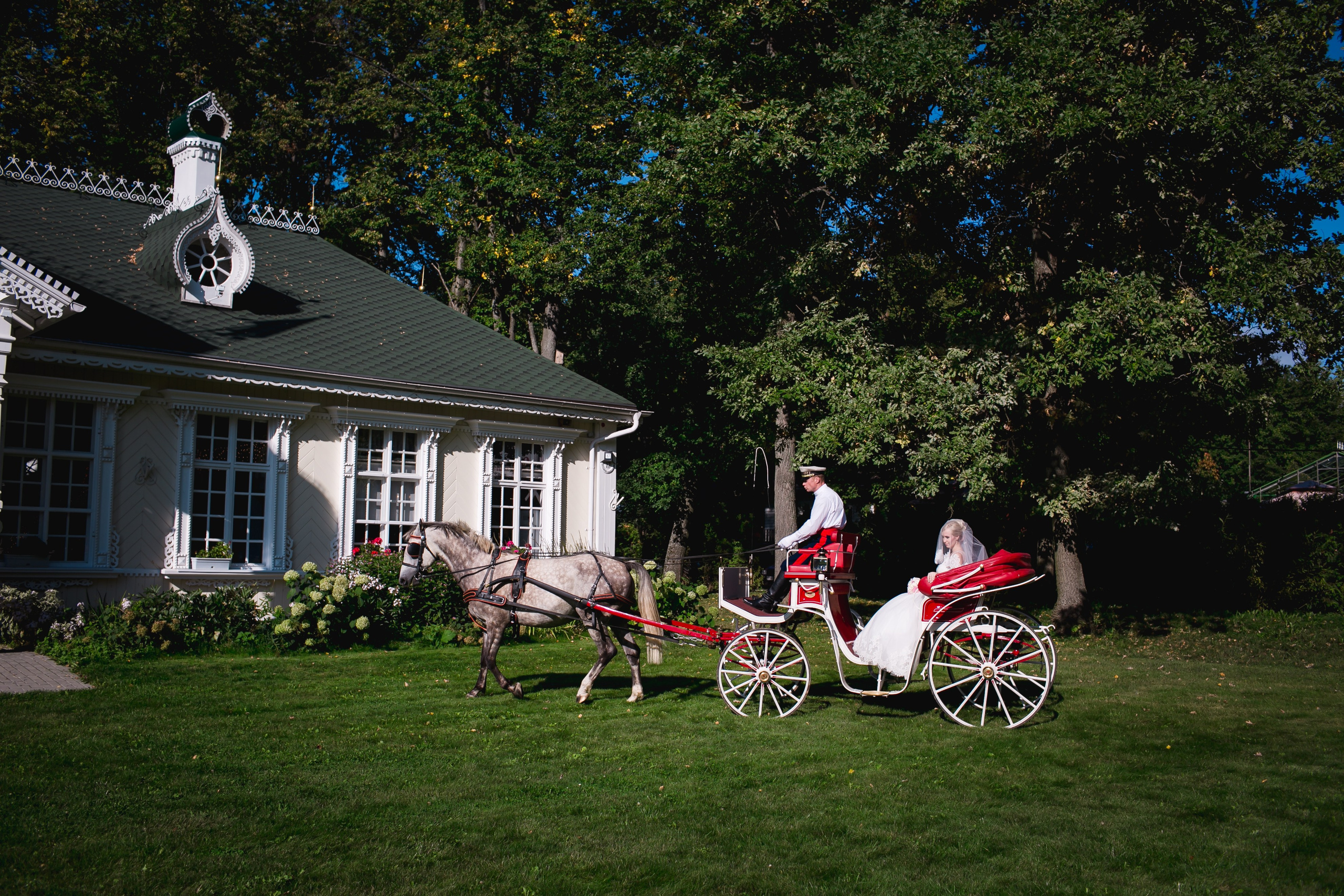 Елена и Дмитрий