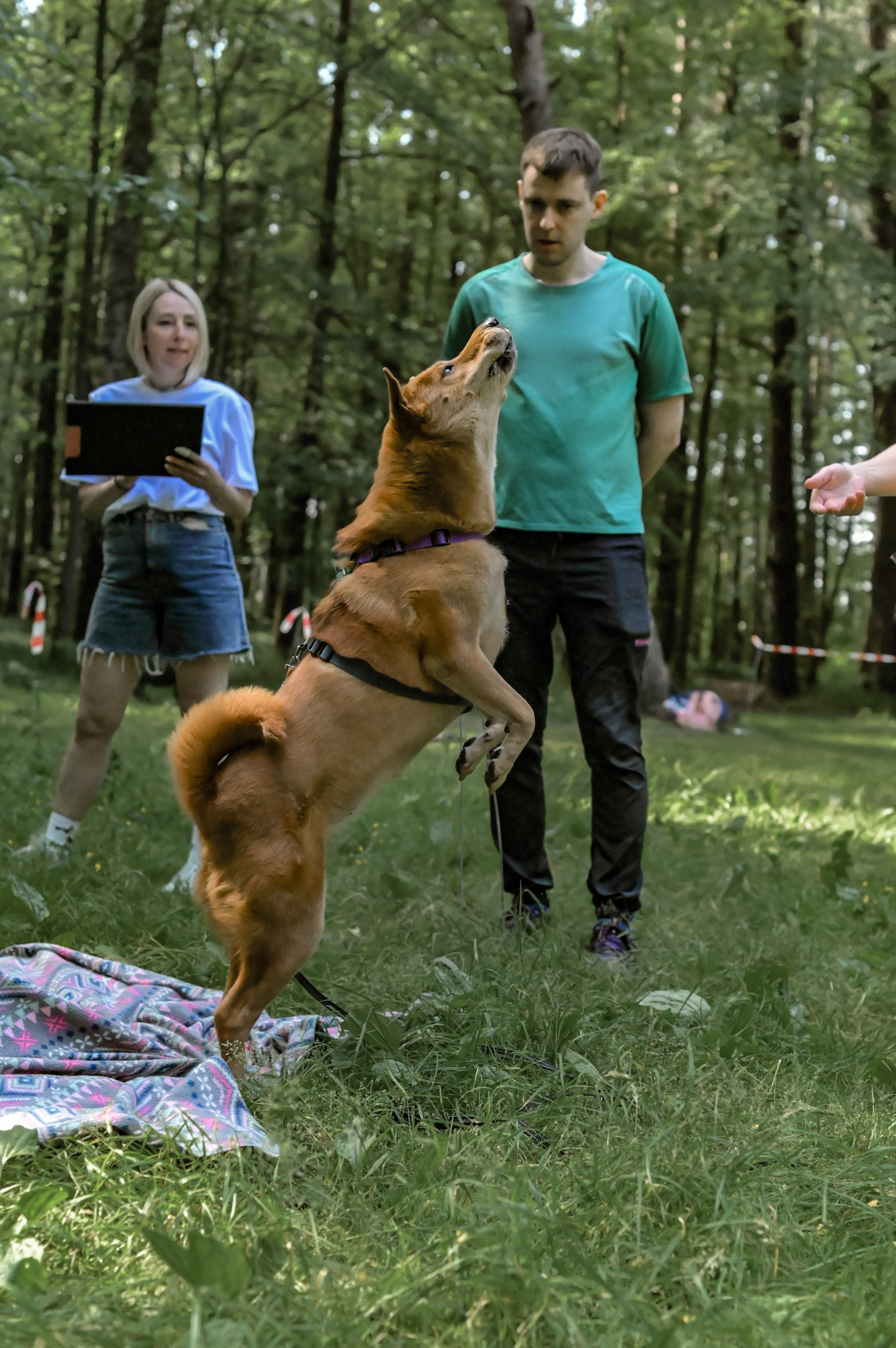 Кинологические соревнования. Семейный и репортажный фотограф в Москве Анастасия Трубкина